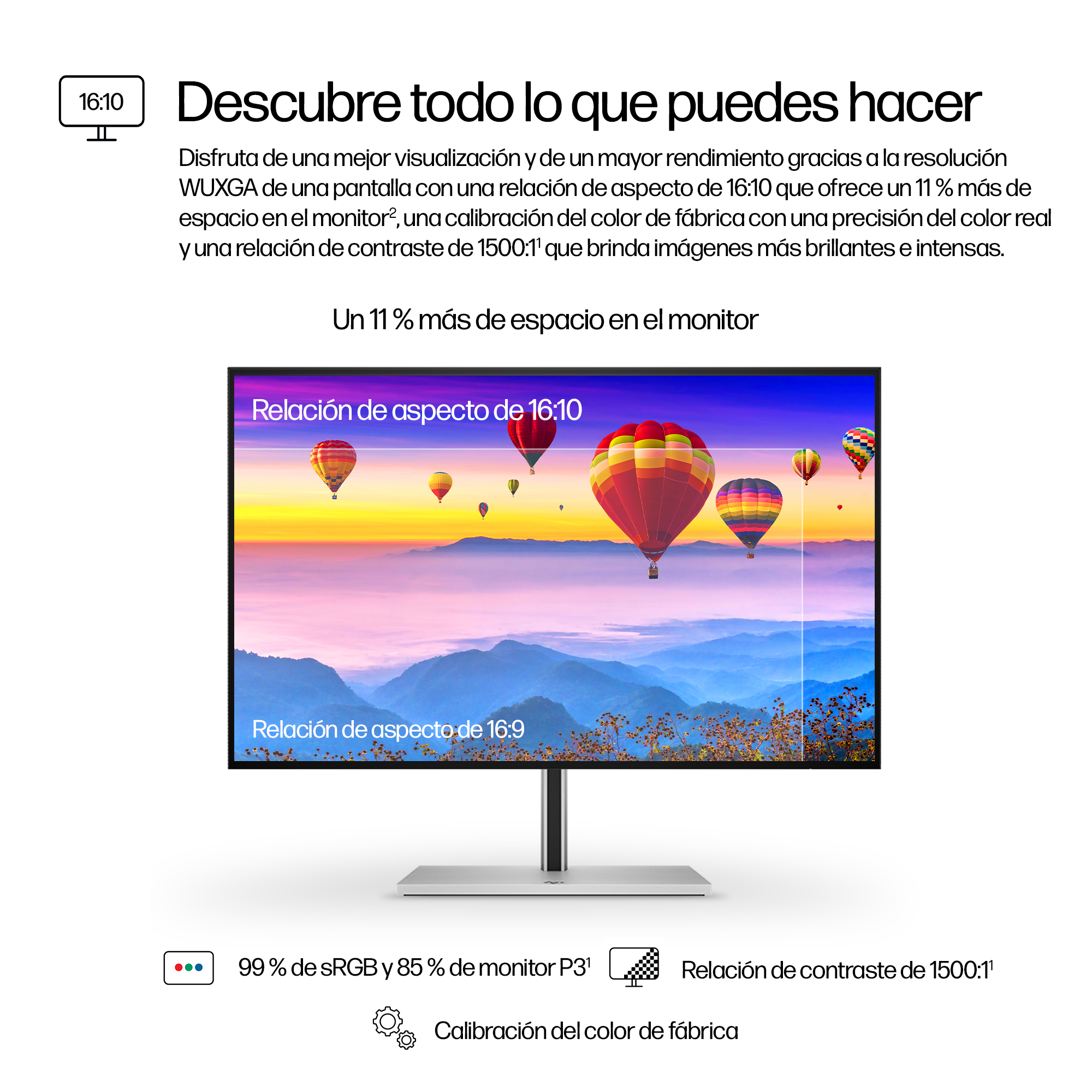 Un monitor 16:10 mostra un paesaggio con mongolfiere.