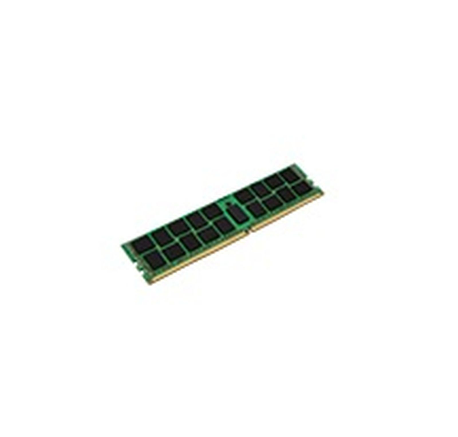 Un singolo modulo RAM verde con chip neri giace su sfondo bianco.