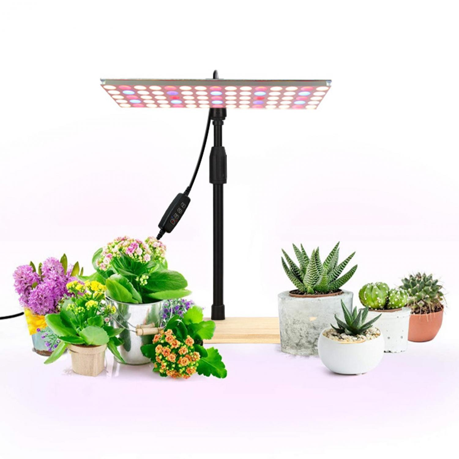Pflanzenlampe über verschiedenen Topfpflanzen und Sukkulenten auf einem weißen Hintergrund.