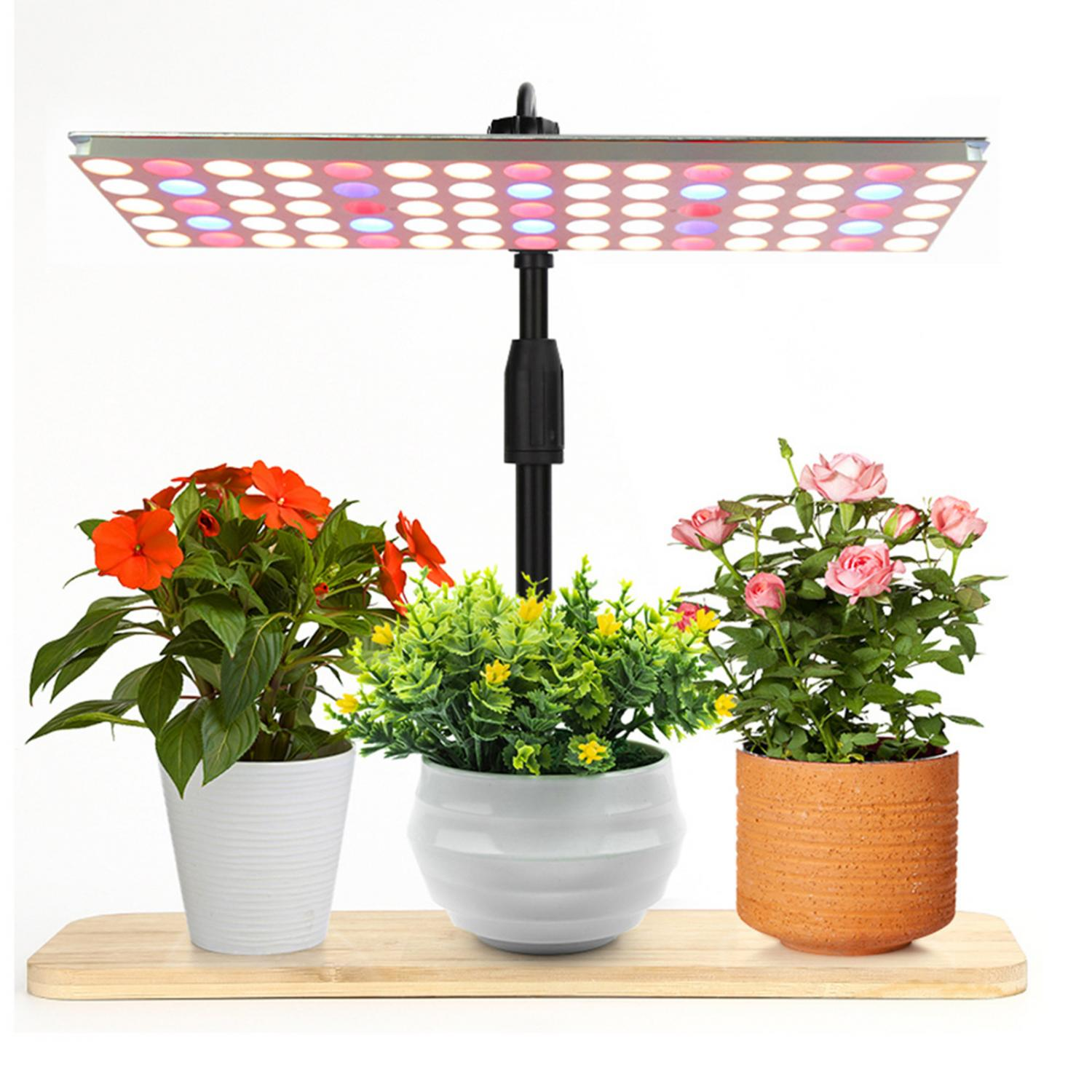 Drei Topfpflanzen unter einer Pflanzenlampe: eine mit roten Blumen, eine mit gelben Blüten und eine mit rosa Rosen.