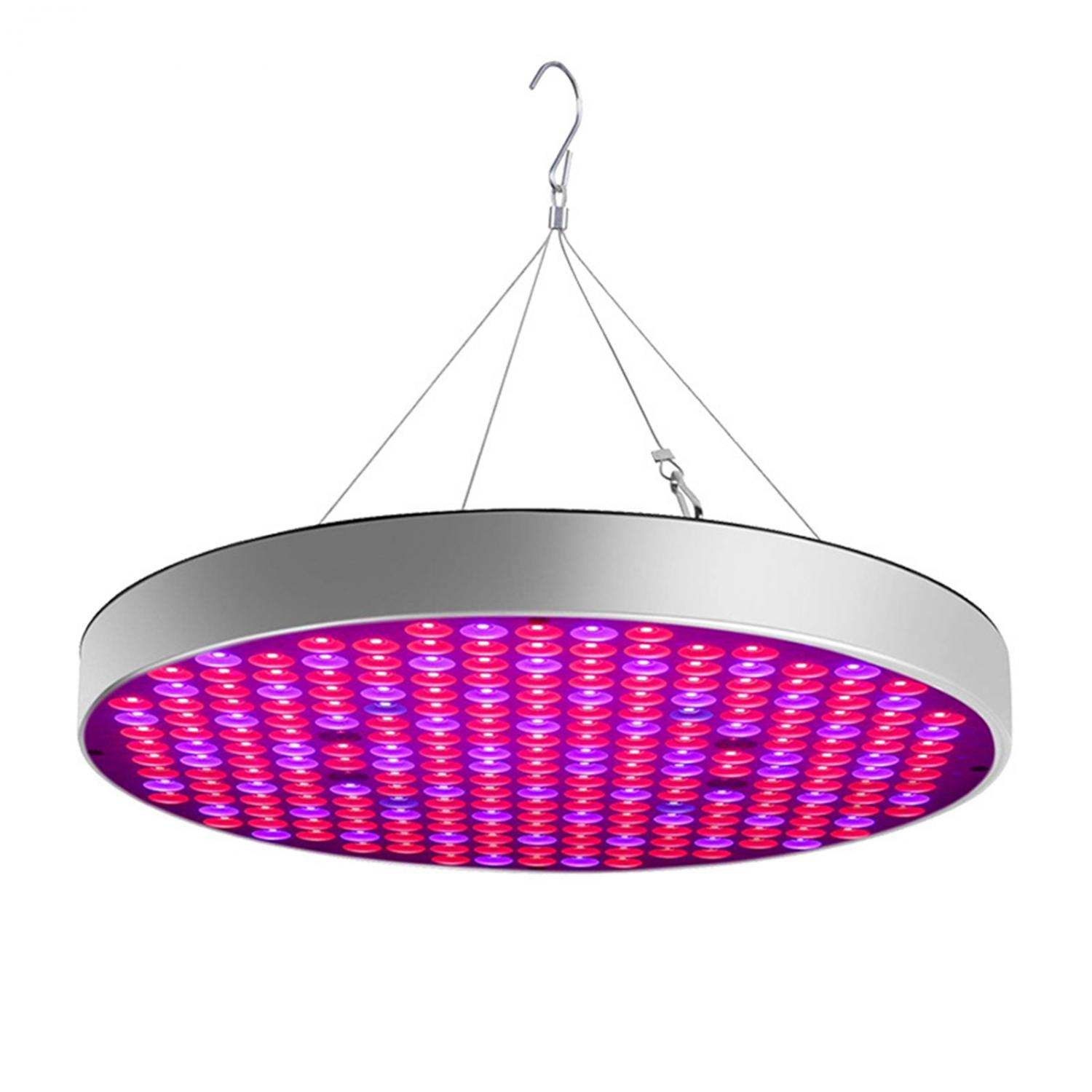 Runde Lampe mit vielen roten und violetten LEDs, hängt an Haken.