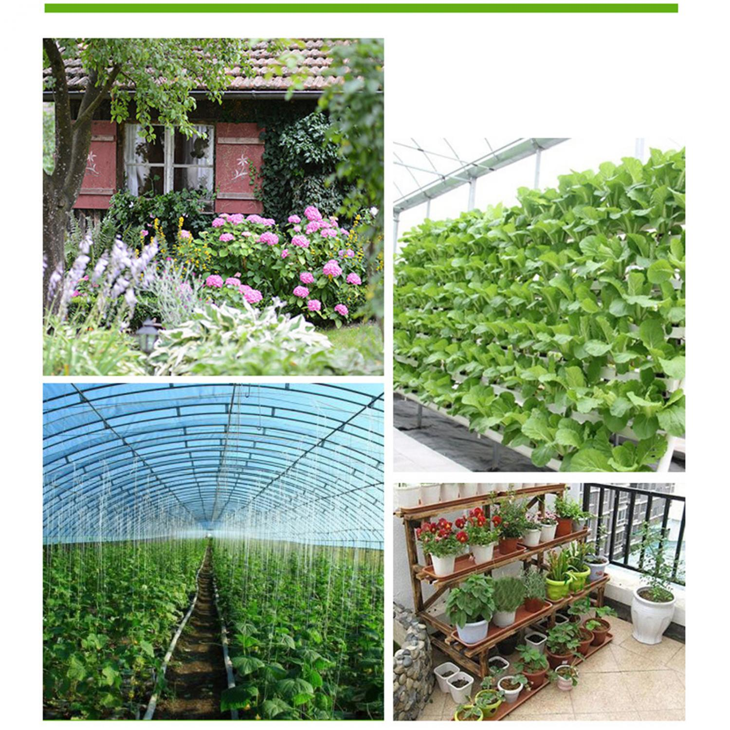 Vier Gartenbilder: Hütte mit Blumen, vertikaler Garten, Gewächshaus, Pflanzenregal.