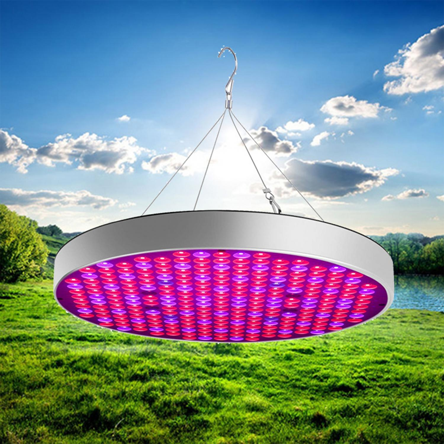 Eine runde LED-Pflanzenlampe mit roten und violetten Lichtern hängt über grünem Gras.