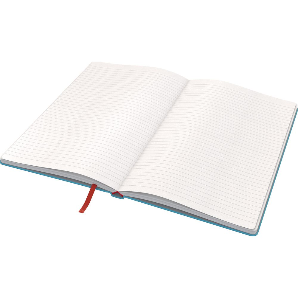 Ein offenes Notizbuch mit linierten Seiten und einem blauen Einband.