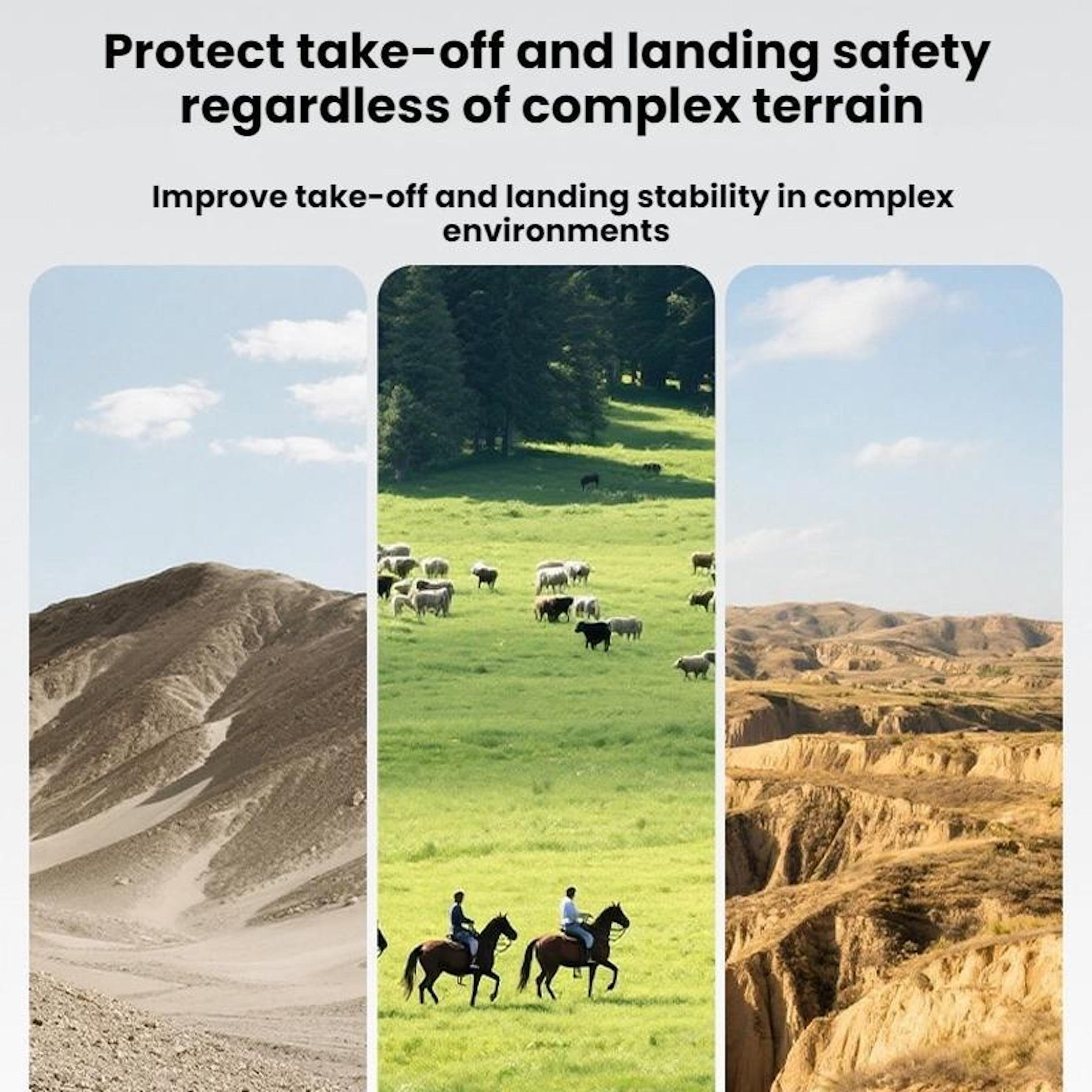 Drei Landschaften: Wüste, grüne Wiese mit Schafen, zerklüftete Felsen.