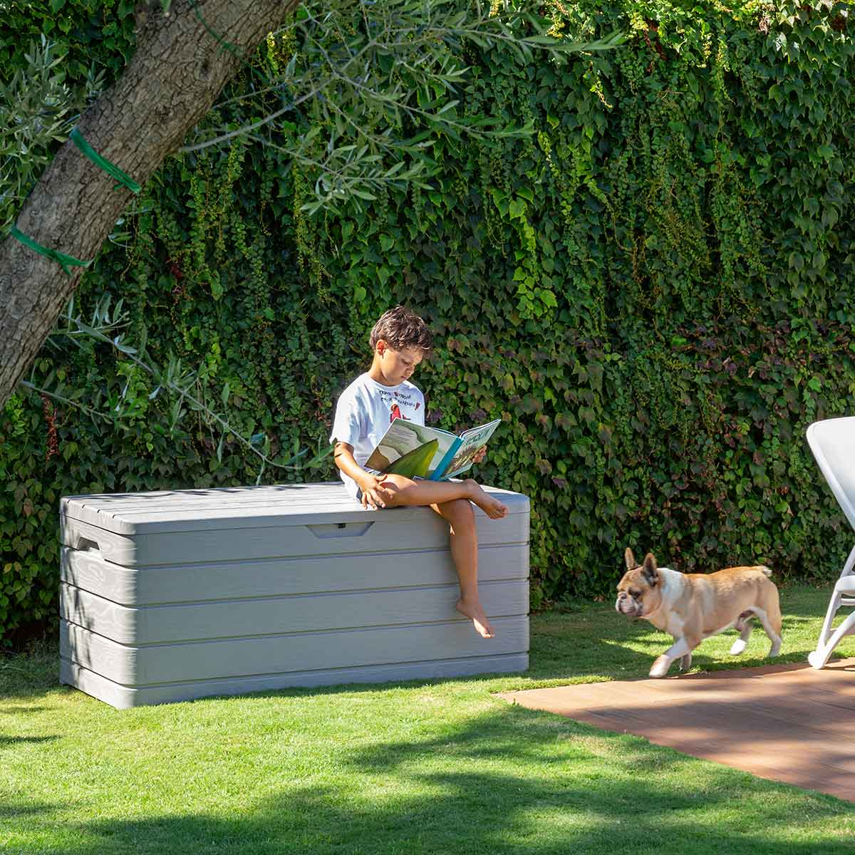 A boy sits on a grey chest reading a book. A dog walks on the grass.