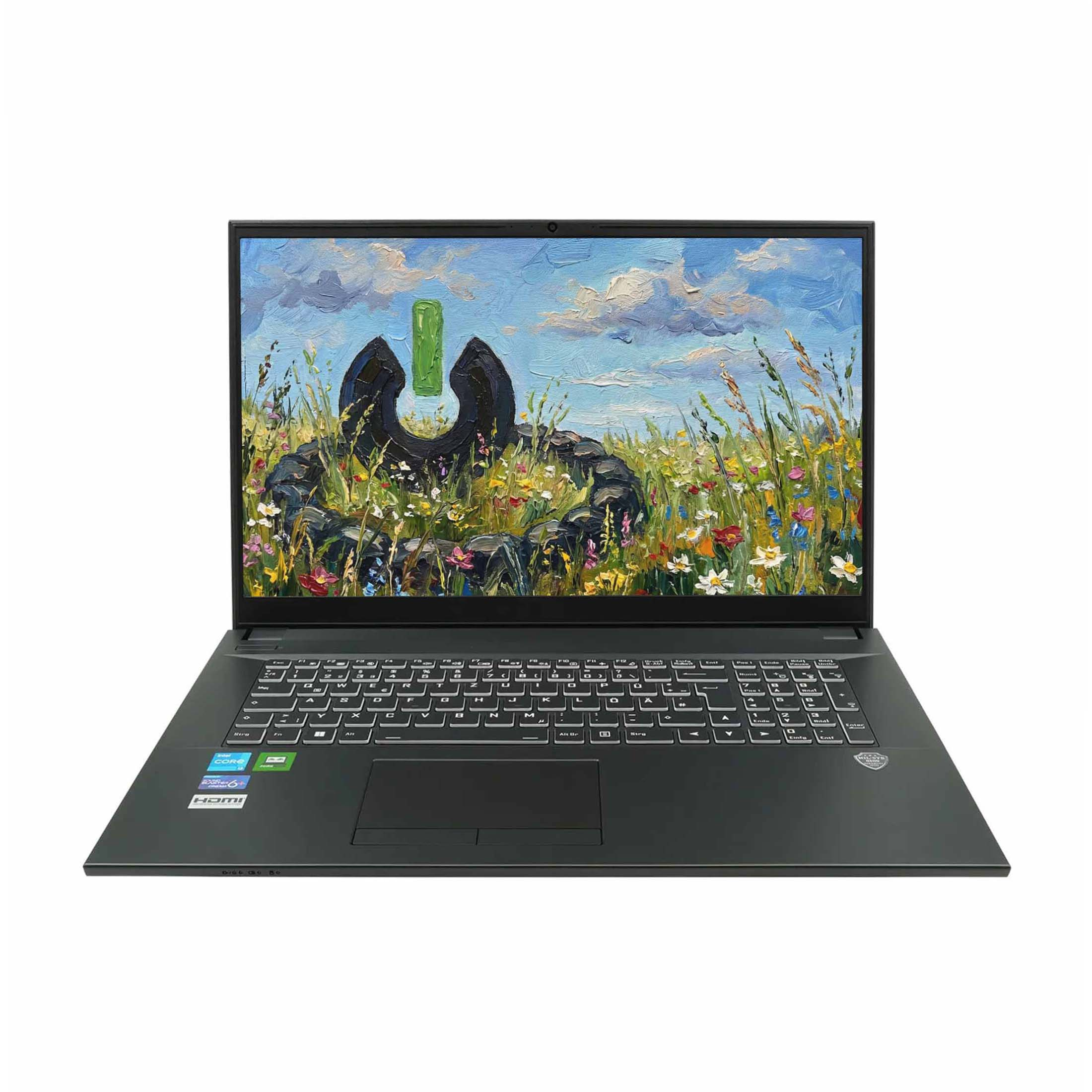Schwarzer Laptop mit buntem Landschaftsbild auf dem Bildschirm.