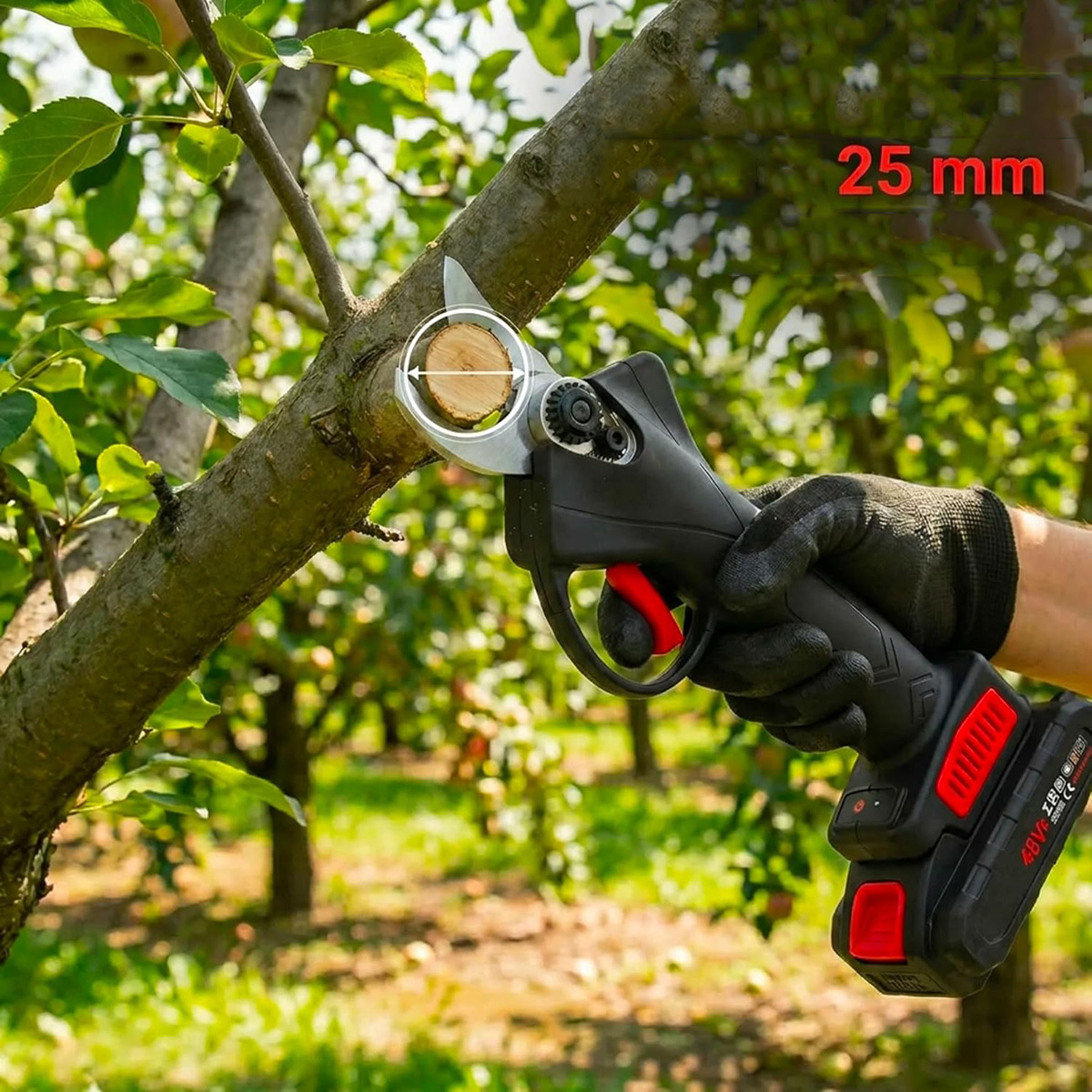 Tijeras de podar eléctricas cortan una rama en un huerto. Se indica "25 mm".
