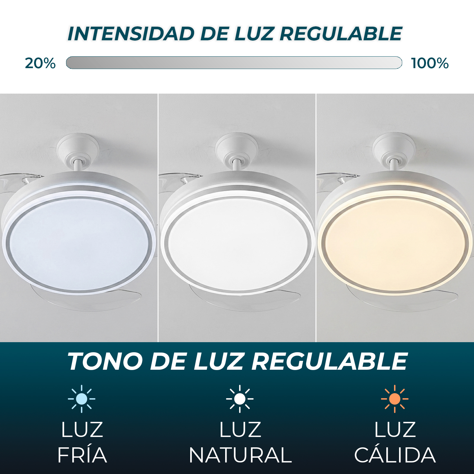 Luz de techo con intensidad y color de luz ajustables.