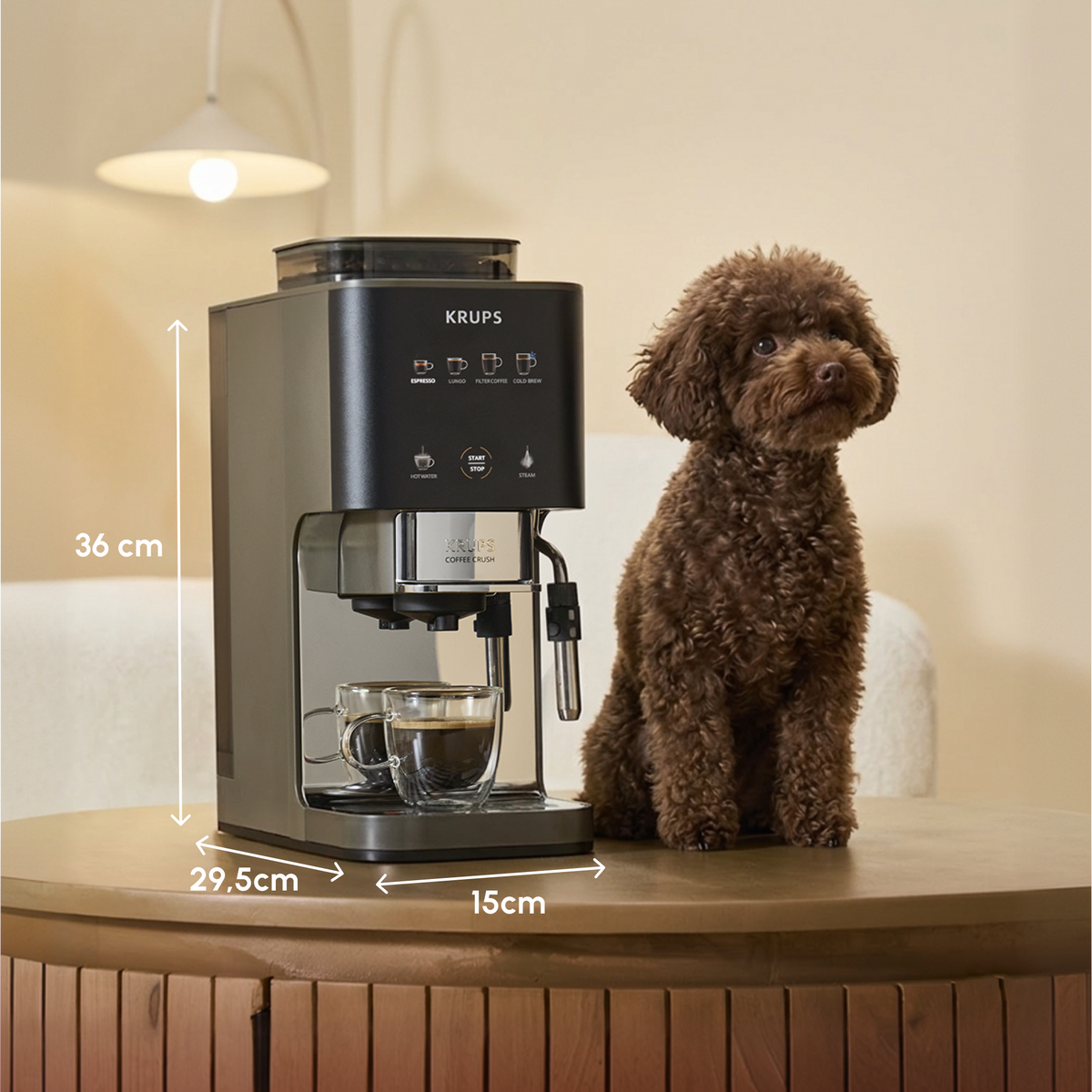 Eine braune Pudel-Hündin sitzt neben einer schwarzen Krups-Kaffeemaschine auf einem Holztisch.