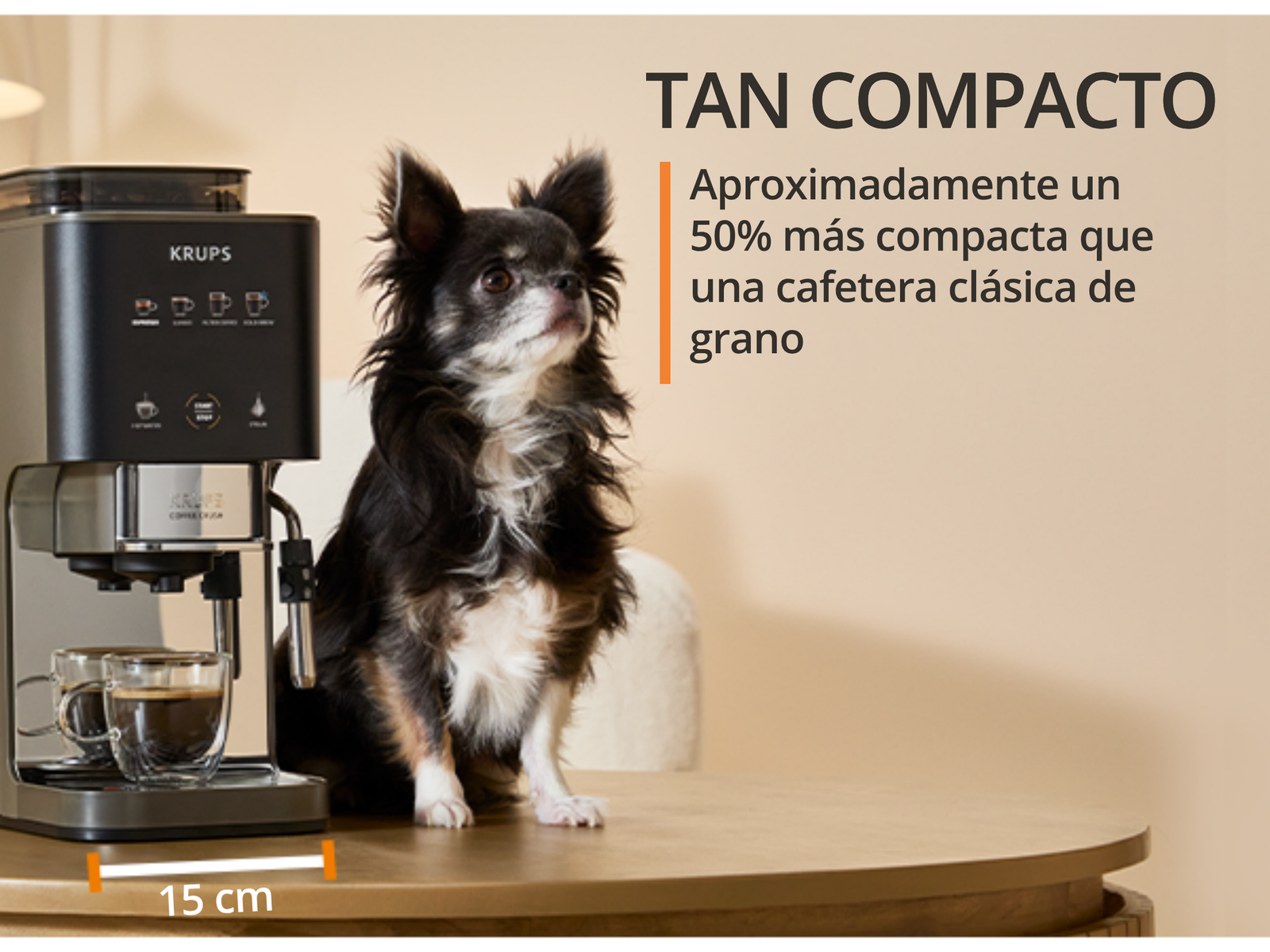 Eine kleine Chihuahua sitzt neben einer Krups Kaffeemaschine, 15 cm breit.