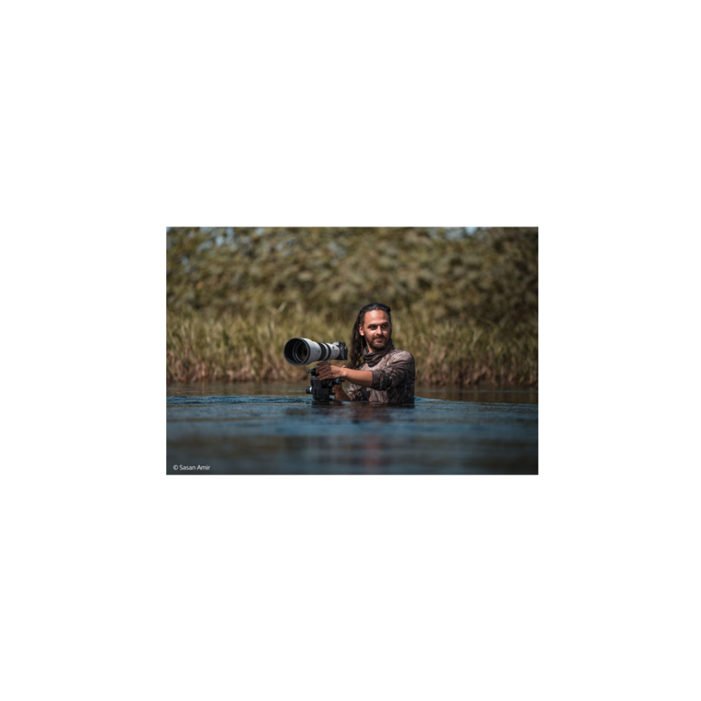 Ein Mann im Wasser mit einer Kamera mit langem Objektiv, umgeben von Schilf.