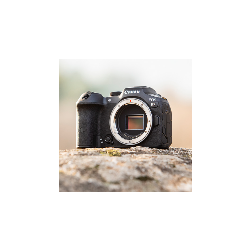 A black Canon EOS R7 camera rests on a stone. The sensor is visible.