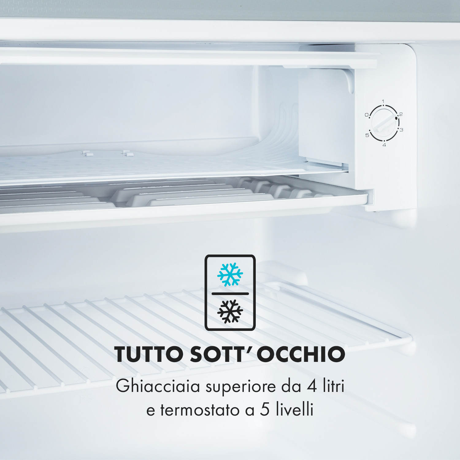 Innenansicht eines Kühlschranks mit zwei Regalen und Thermostatregler.