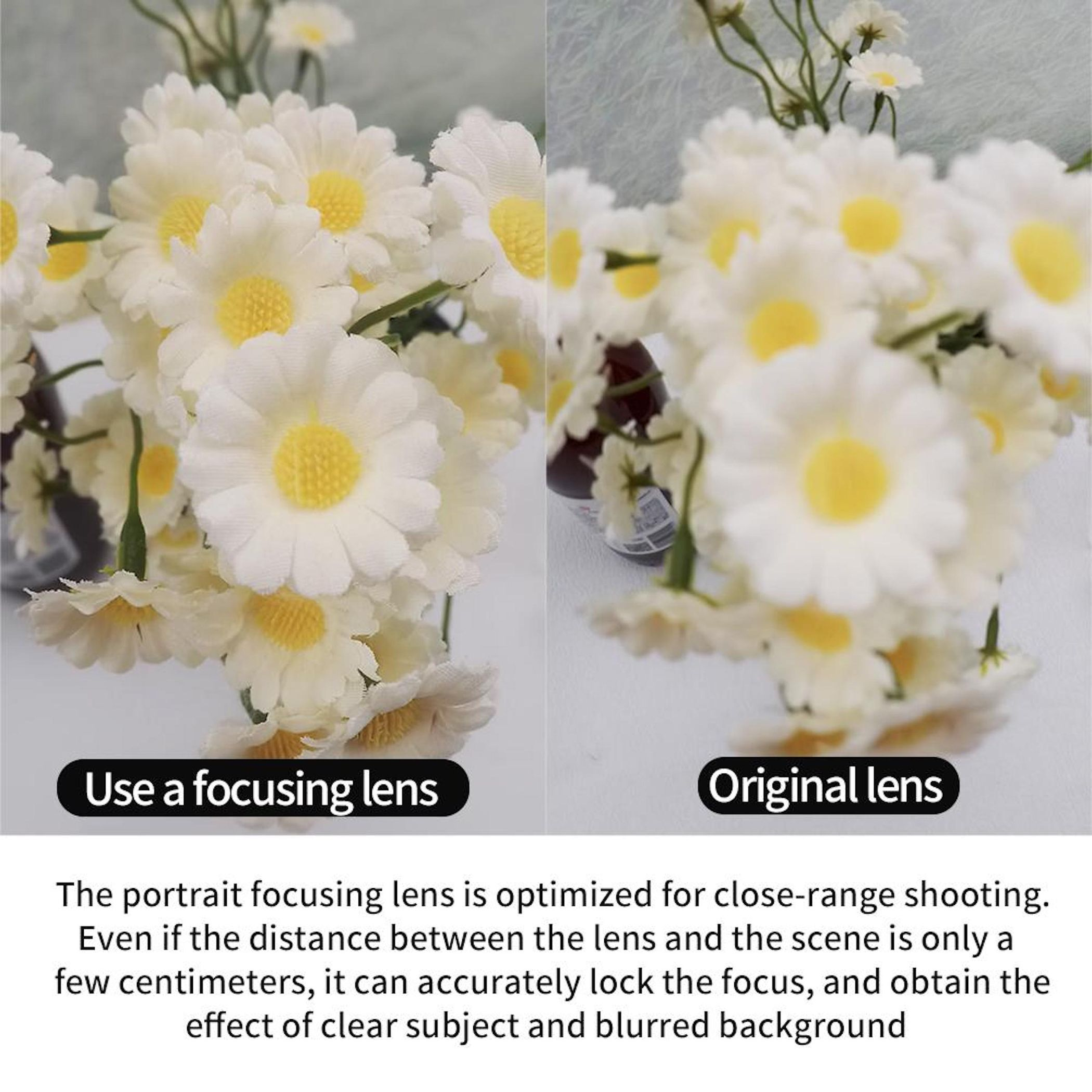 Vergleich von Blumen mit Fokuslinse und Original-Linse.