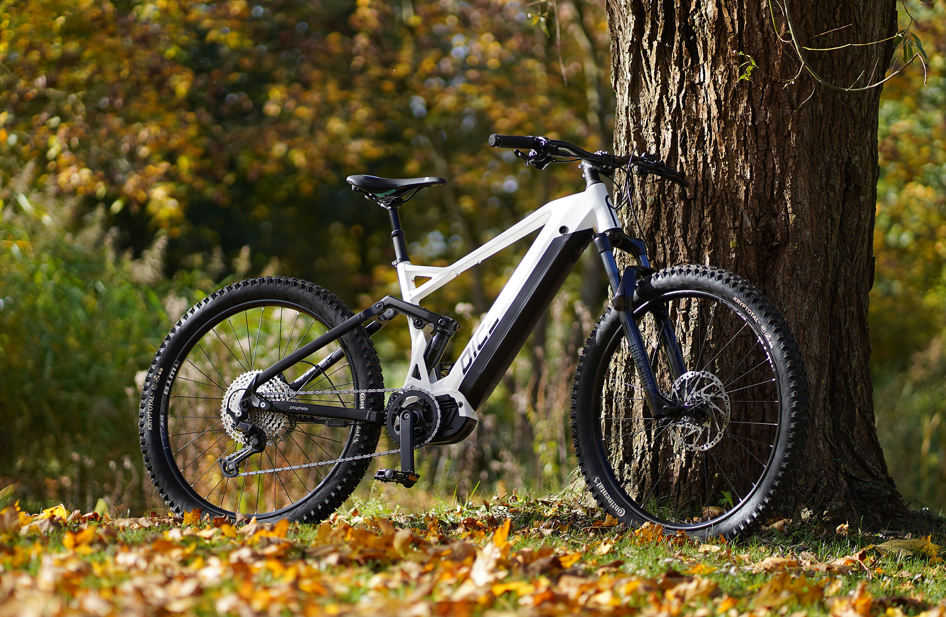 Ein weißes Mountainbike lehnt an einem Baum im Herbstwald.