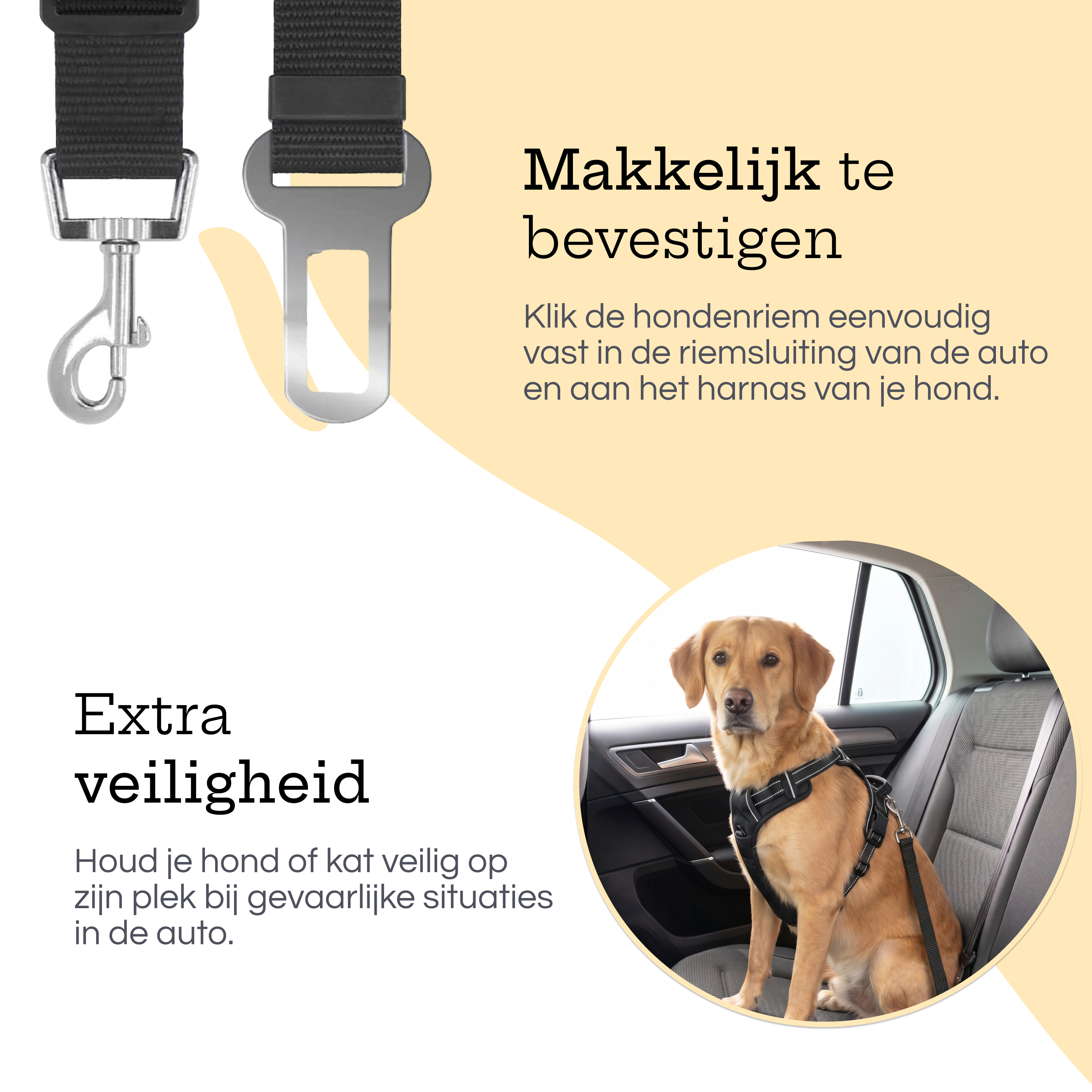 A dog in a harness sits in a car's back seat, secured by a strap.