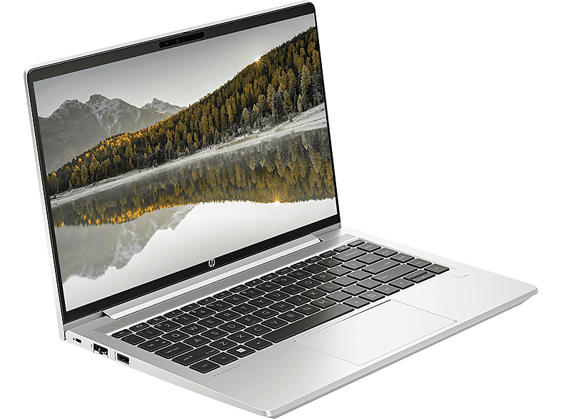 HP ProBook 440 G10 Intel® Iris® Xᵉ Grafik IPS HP8A565EAF19 Intel