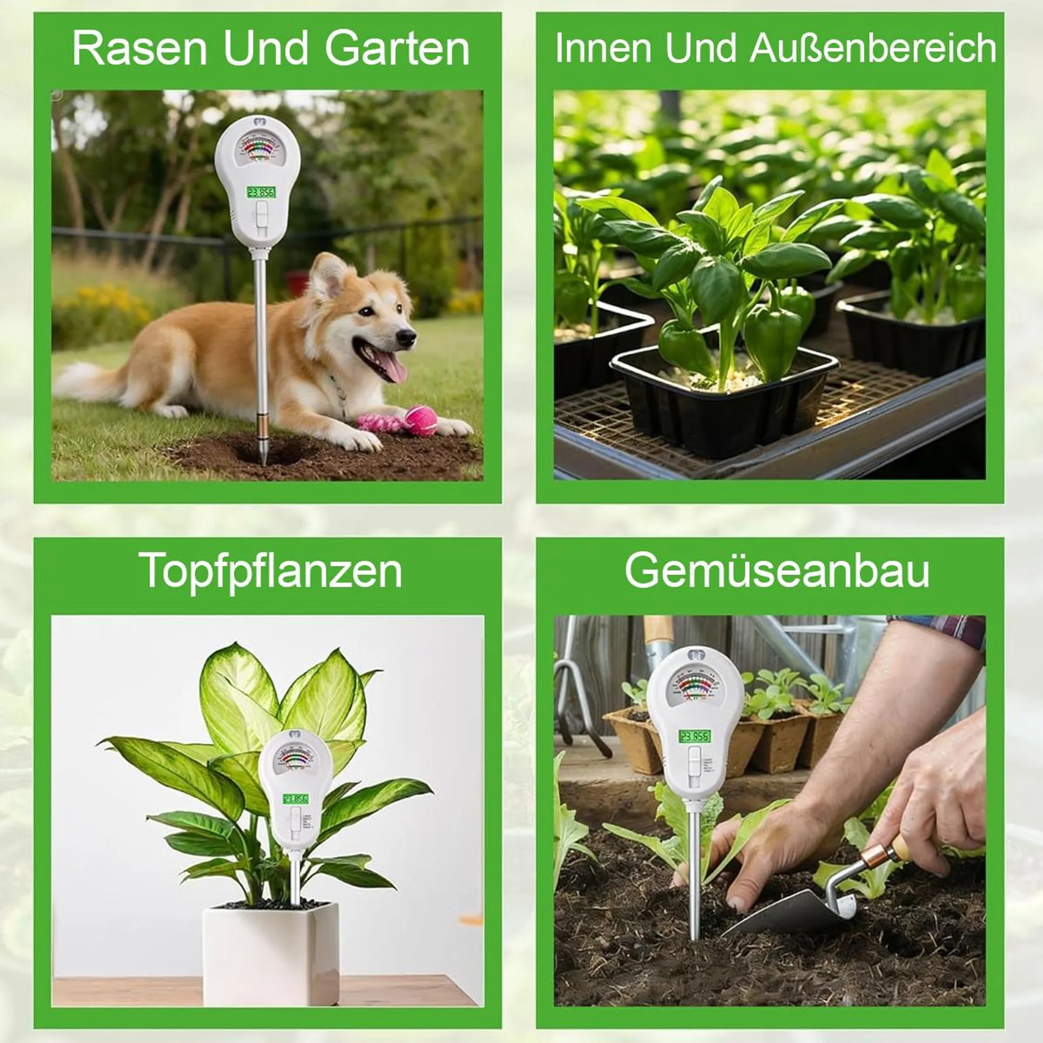 Vier Bilder: Hund im Garten, Pflanzen im Gewächshaus, Topfpflanze, Hände beim Gärtnern.