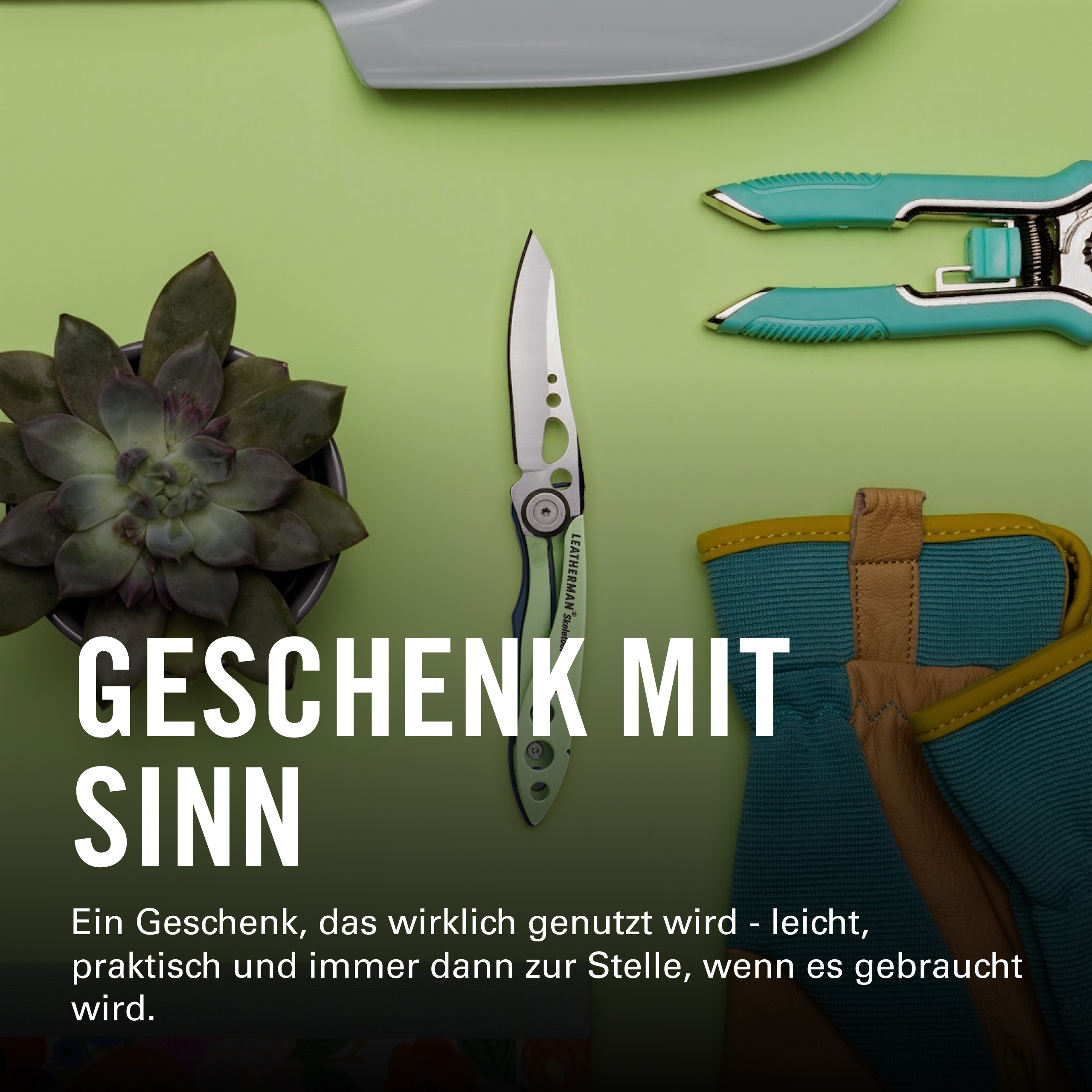 Gartenwerkzeuge: Schere, Messer, Handschuhe und Sukkulente auf grünem Grund.