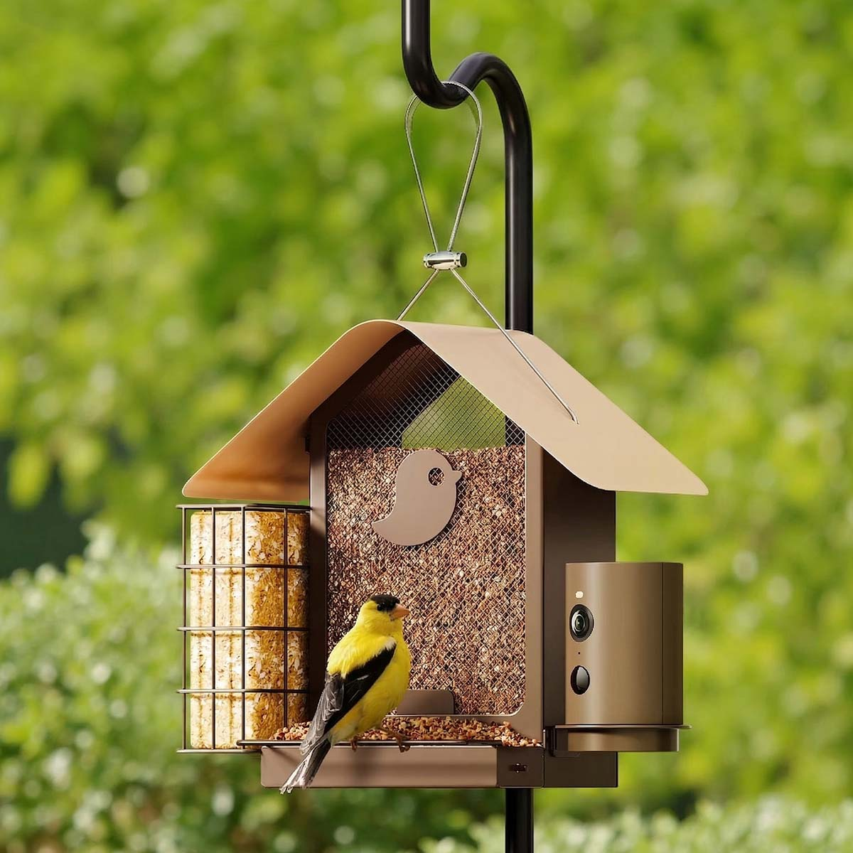 Ein Goldfink sitzt auf einem braunen Vogelhäuschen mit Saatgut und einer Kamera.