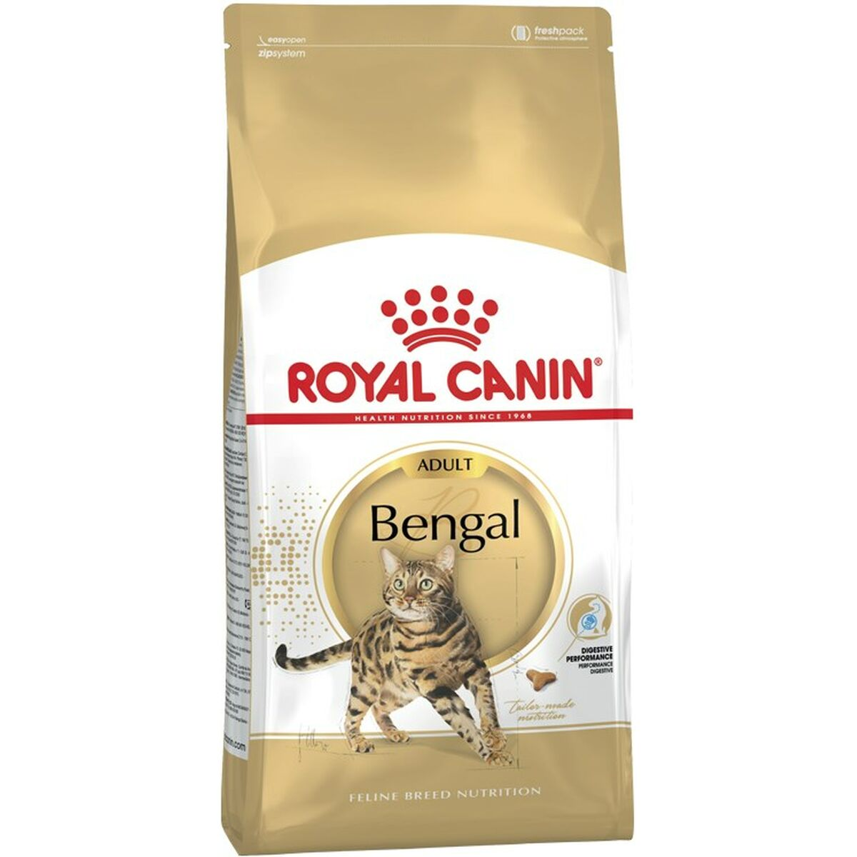 Złota torba karmy dla kotów Royal Canin Bengal Adult z kotem bengalskim.