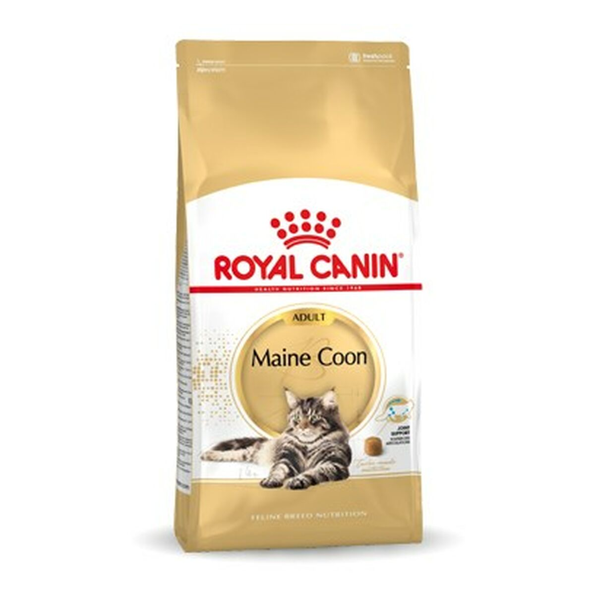 Złota torba karmy Royal Canin Maine Coon dla dorosłych kotów z wizerunkiem kota.