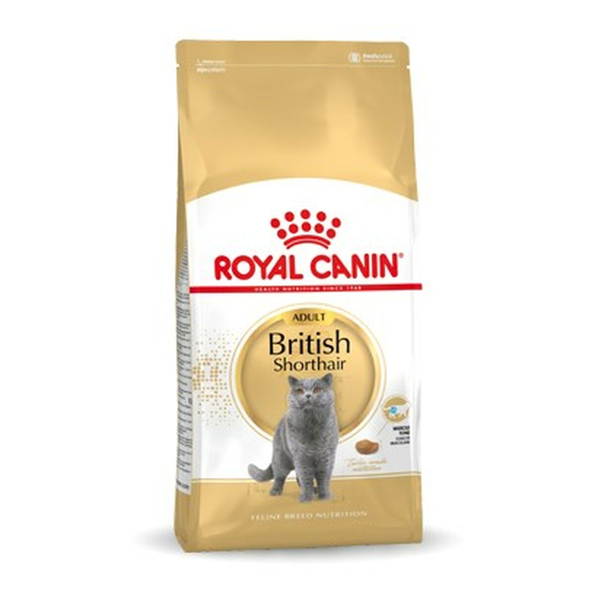 Złota torba karmy dla kotów Royal Canin dla dorosłych Brytyjskich Krótkowłosych.