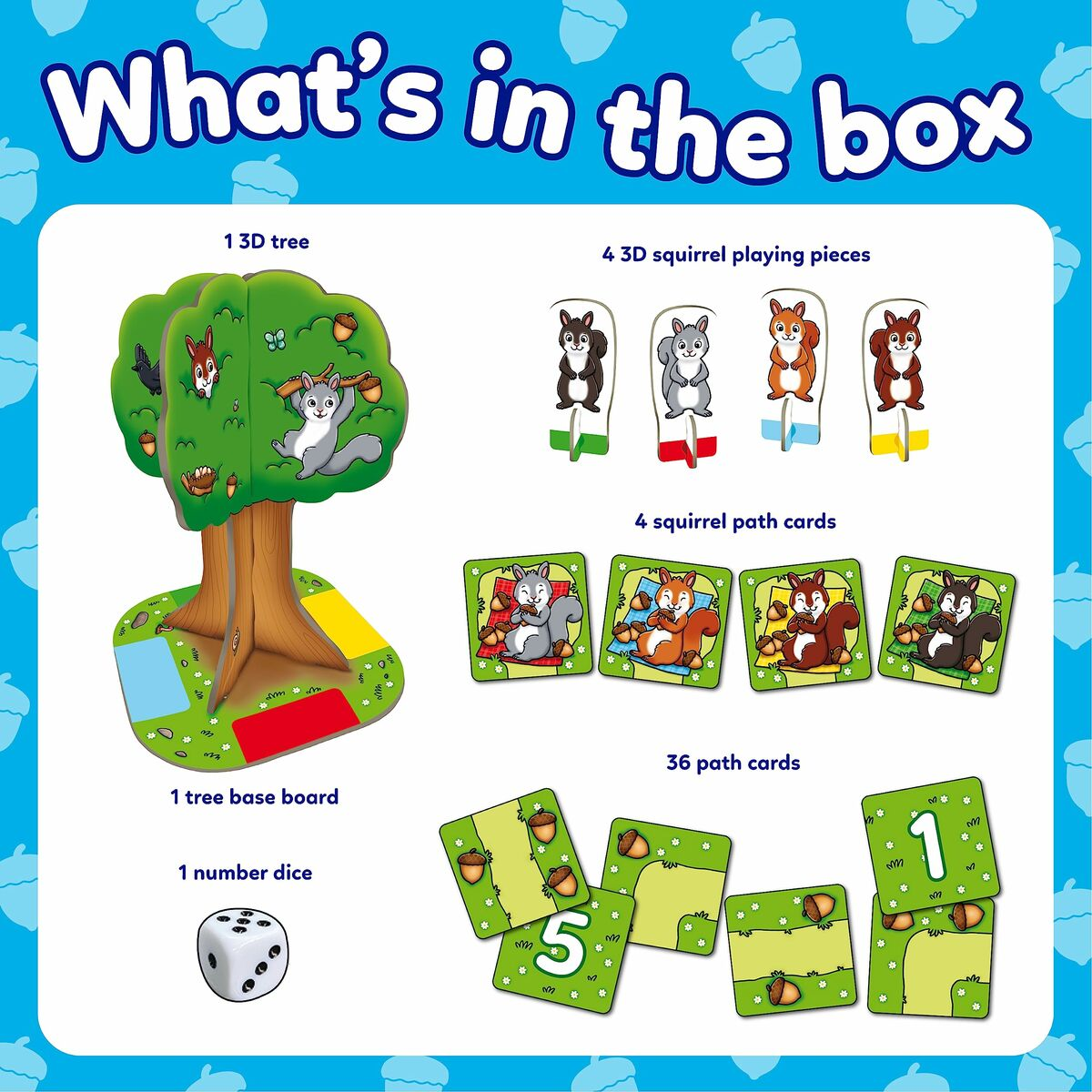 Componenti del gioco: albero 3D, scoiattoli, carte percorso, dadi. Cosa c'è nella scatola.