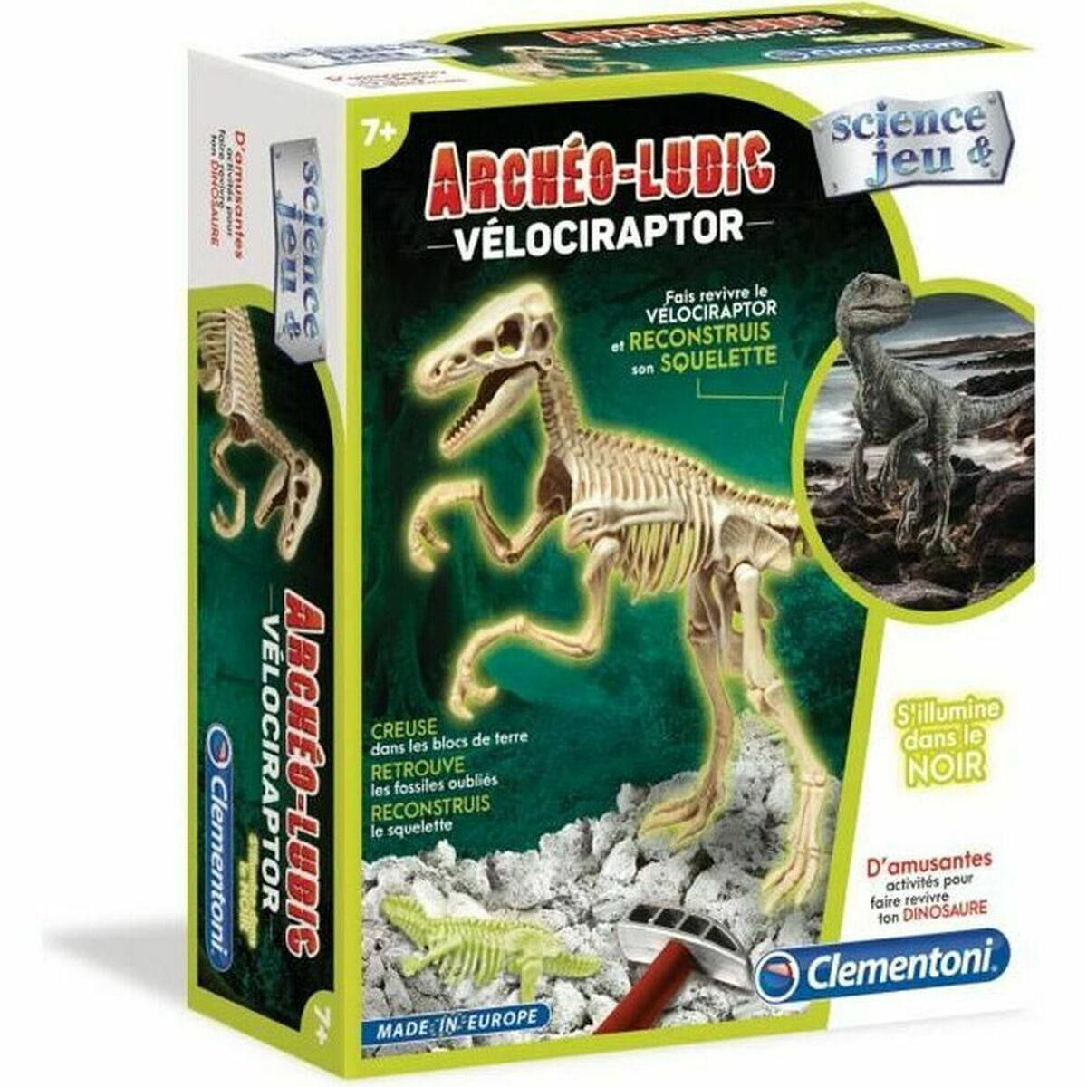 Verpackung eines Velociraptor-Skelett-Bausatzes mit Dinosaurierabbildungen.