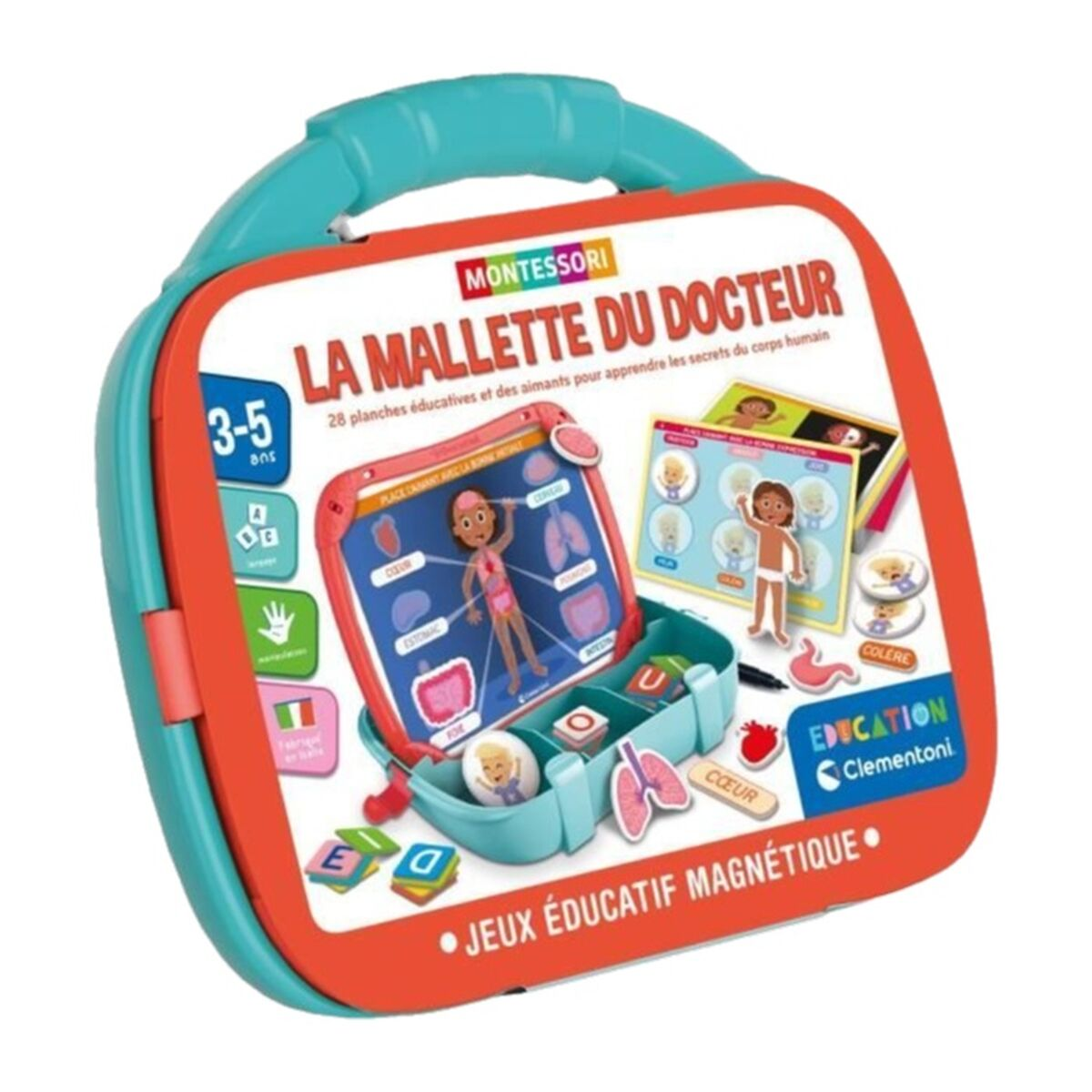 Gioco valigetta del dottore Montessori con organi e parti del corpo umano.