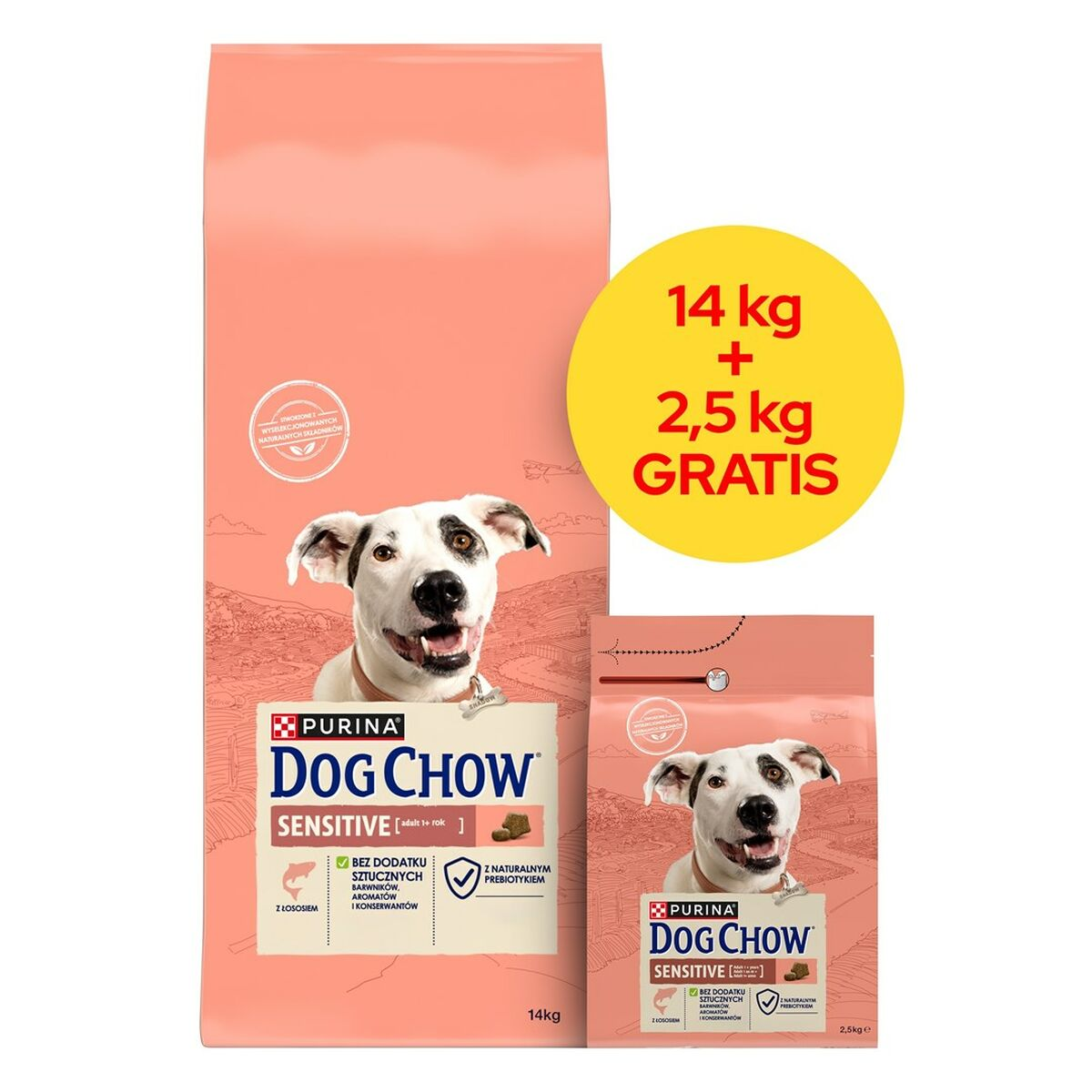 Dwie paczki karmy dla psów Purina Dog Chow Sensitive, jedna 14 kg i jedna 2,5 kg.