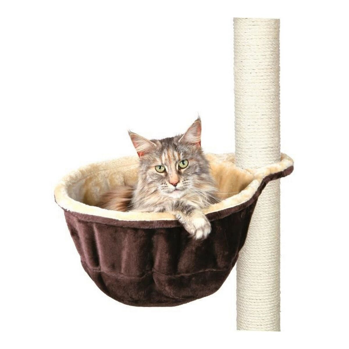 Un gatto soriano riposa in un cesto marrone con fodera beige, accanto a un tiragraffi.