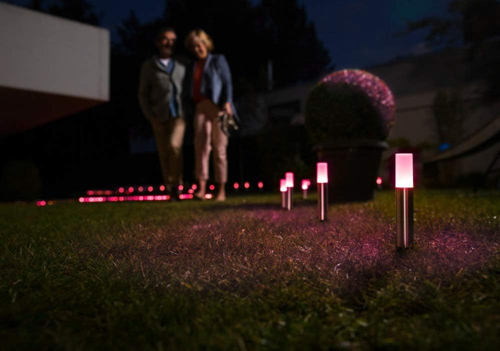 Una coppia passeggia in un giardino di notte, illuminato da luci LED rosa.