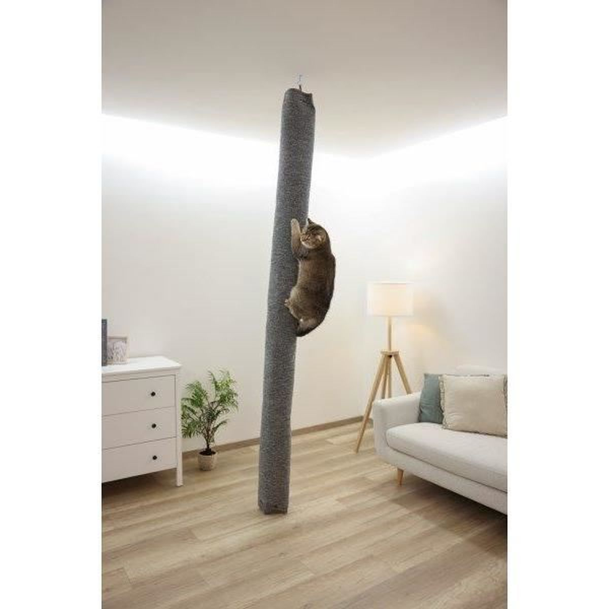 Eine Katze klettert an einem hohen, grauen Kratzbaum, der von der Decke hängt.