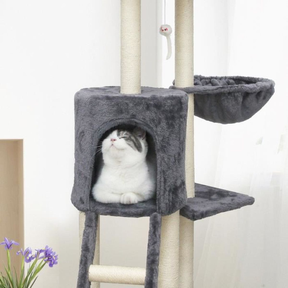 Eine Katze sitzt in einem Kratzbaumhaus. Sie hat weiße und graue Fellzeichnungen.