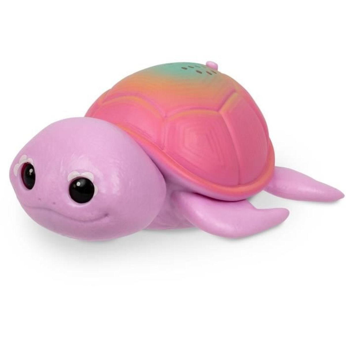 Eine lila Schildkröte mit einem rosa und grünen Panzer, weißen Augen und schwarzen Pupillen.