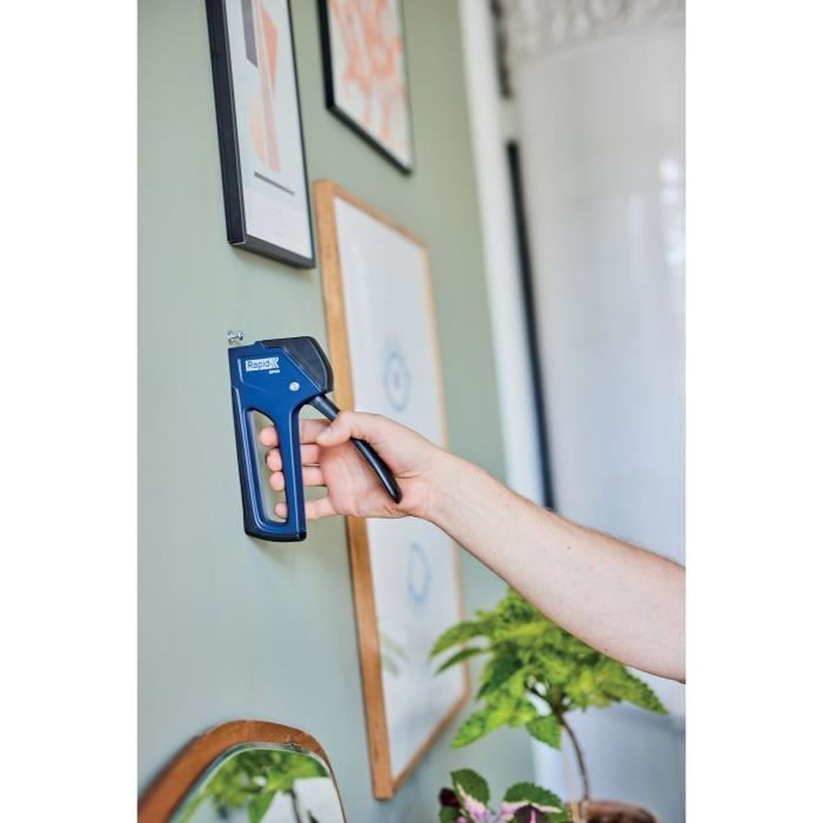 Eine Hand hält einen blauen Tacker an einer hellgrünen Wand, um ein Bild aufzuhängen.