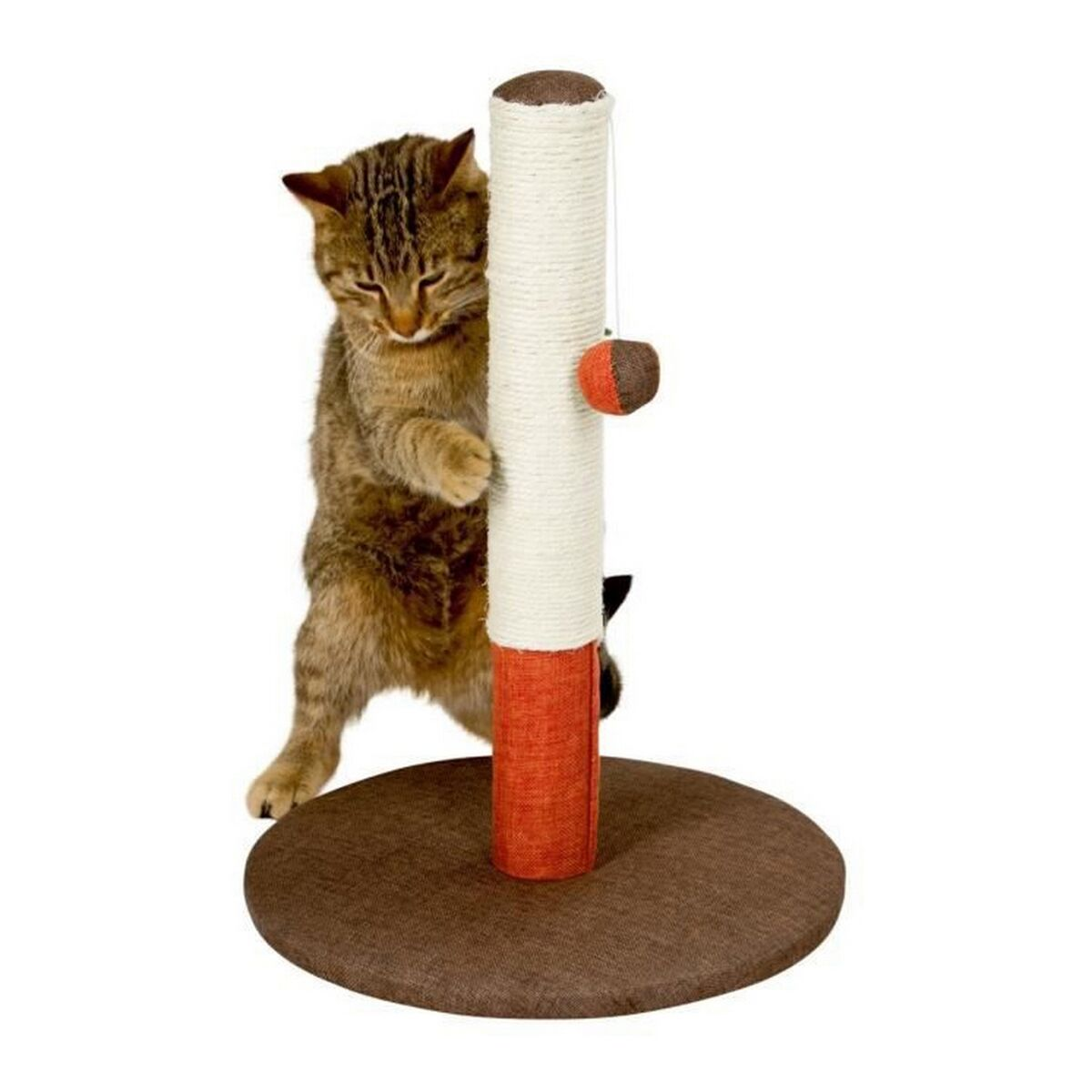 Eine getigerte Katze spielt mit einem Kratzbaum mit Spielzeugball.