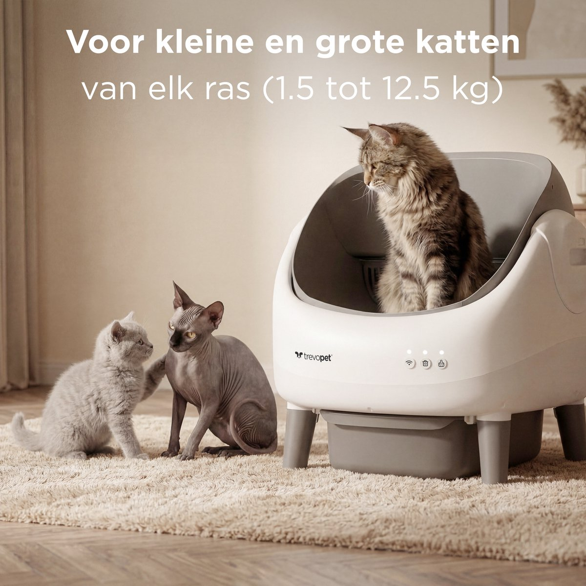 Drie katten interageren met een zelfreinigend kattentoilet.