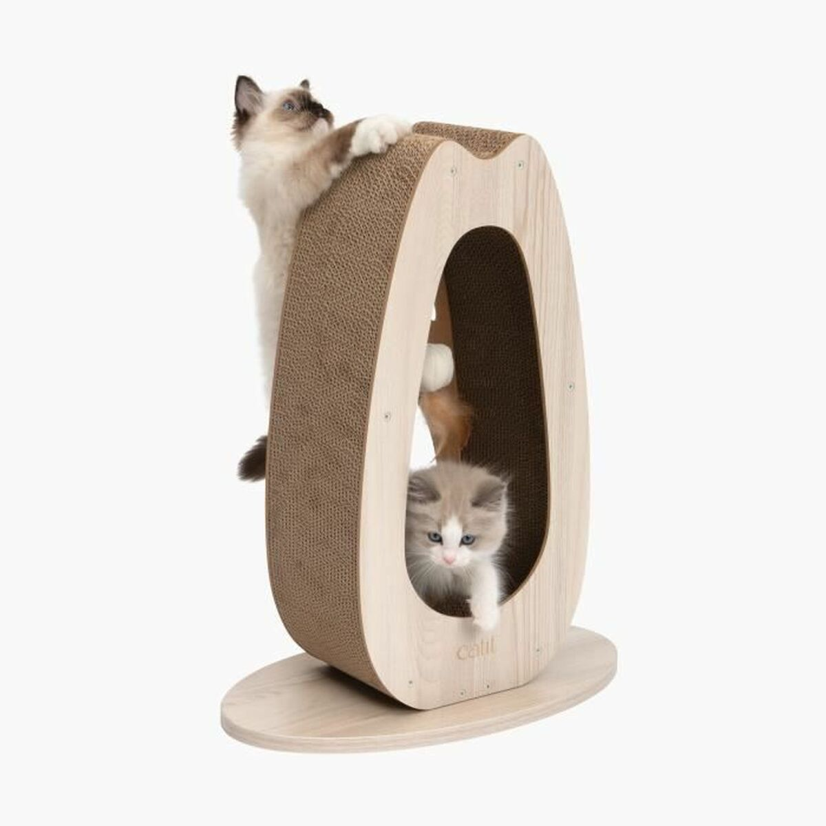 Un gatto soffice si arrampica su un tiragraffi, mentre un gattino sbircia dall'interno.