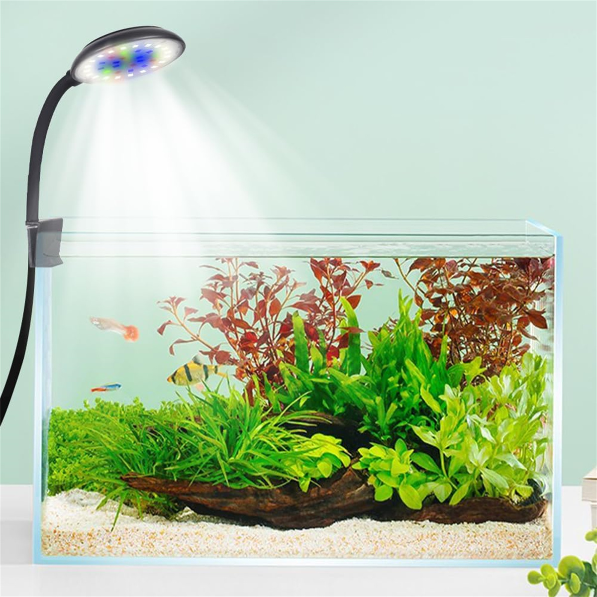 Ein beleuchtetes Aquarium mit Fischen und Pflanzen.