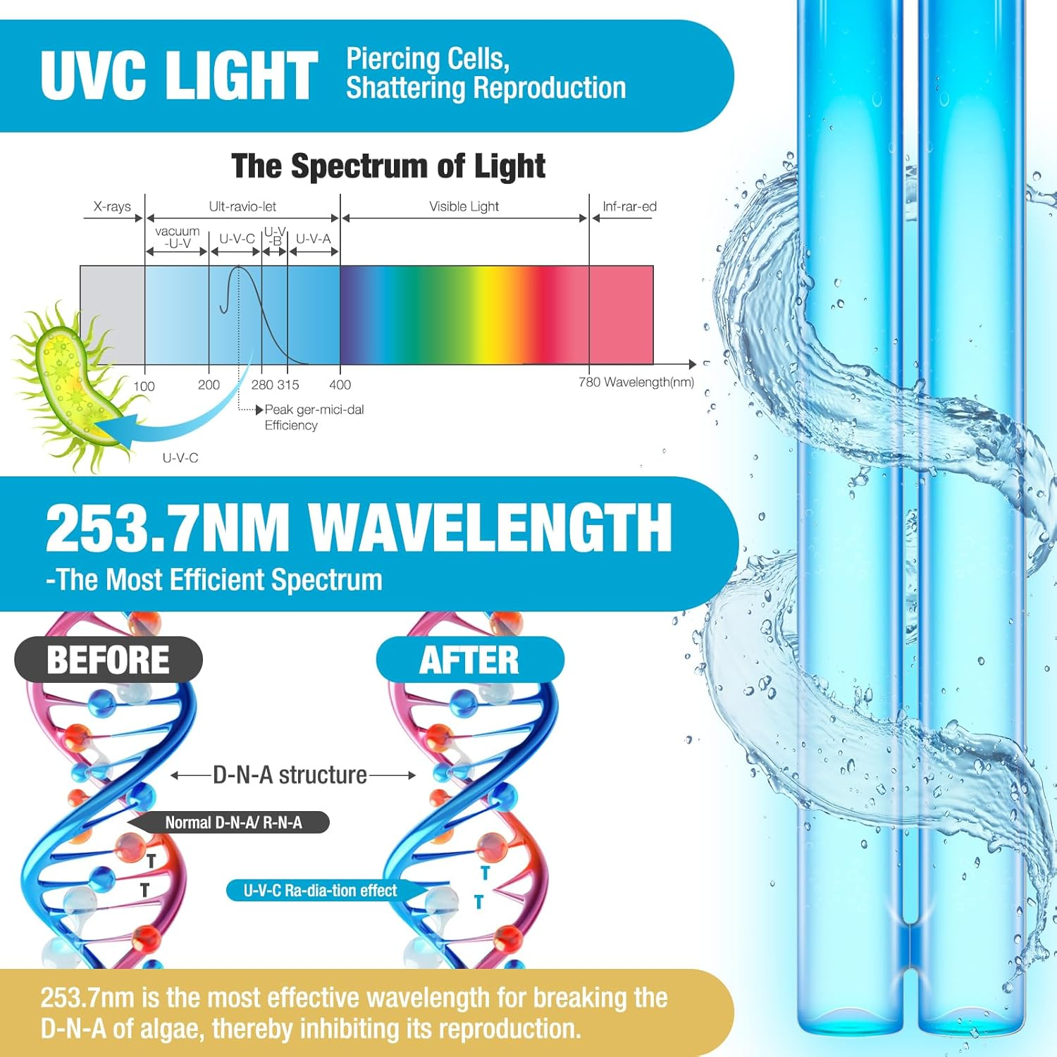 Diagramm zeigt UV-Lichtspektrum, DNA vor/nach UVC und UV-Lampen mit Wasser.