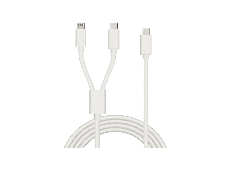 WINEX 2'si 1 Arada 5A 120W Type-C to Type-C ve Lightning 120 cm SX31C Hızlı Şarj ve Data Kablosu Beyaz