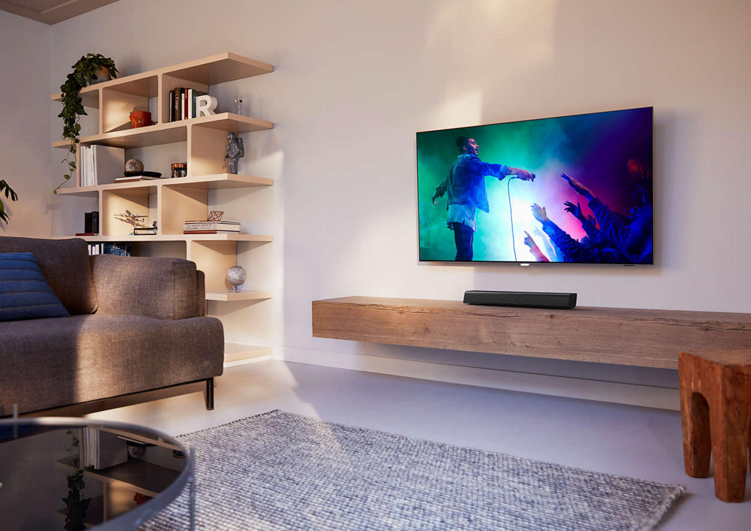 Ein Wohnzimmer mit Sofa, Regal, Fernseher und Teppich.