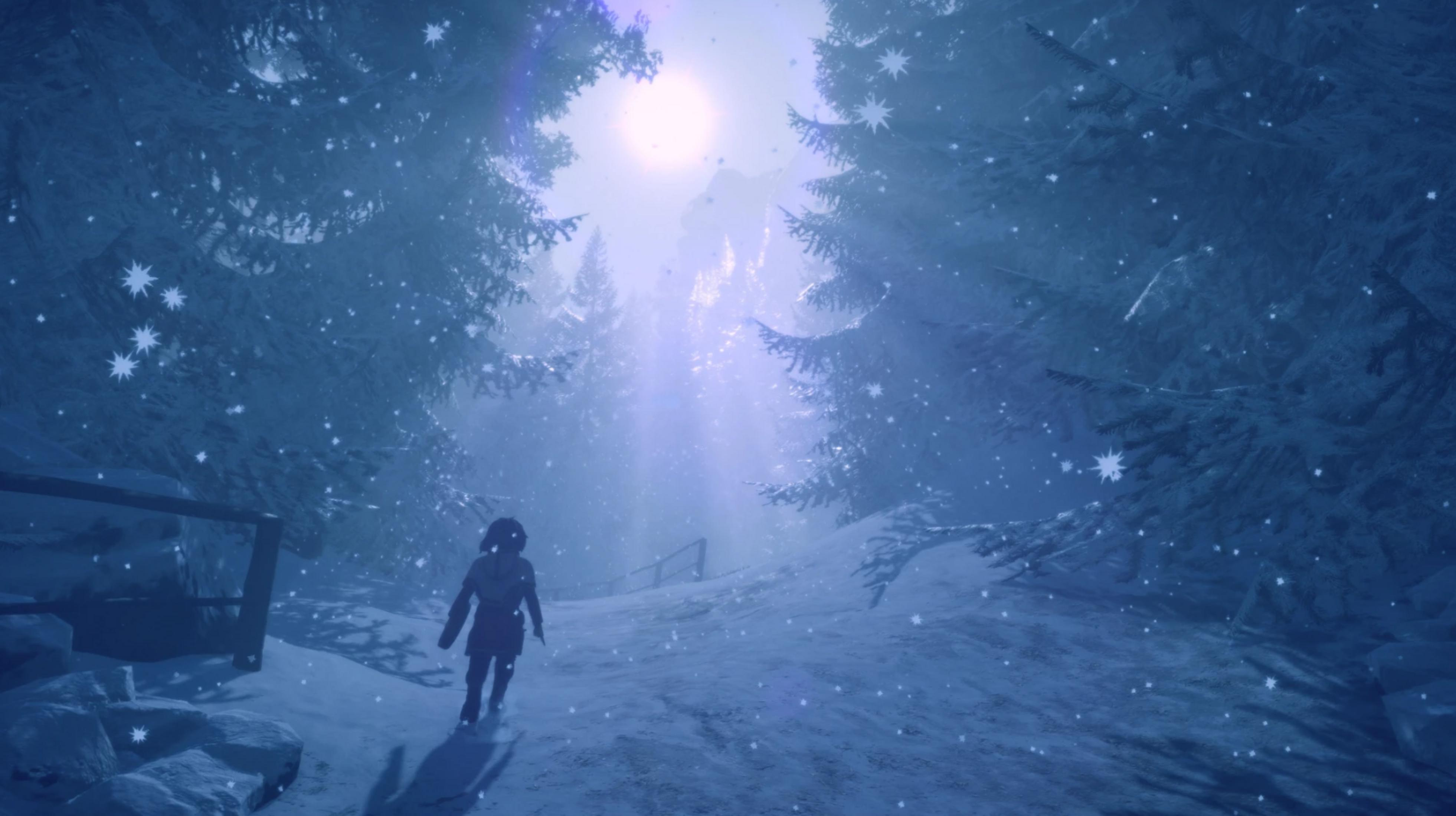 Una persona cammina su un sentiero innevato in una foresta sotto la neve.