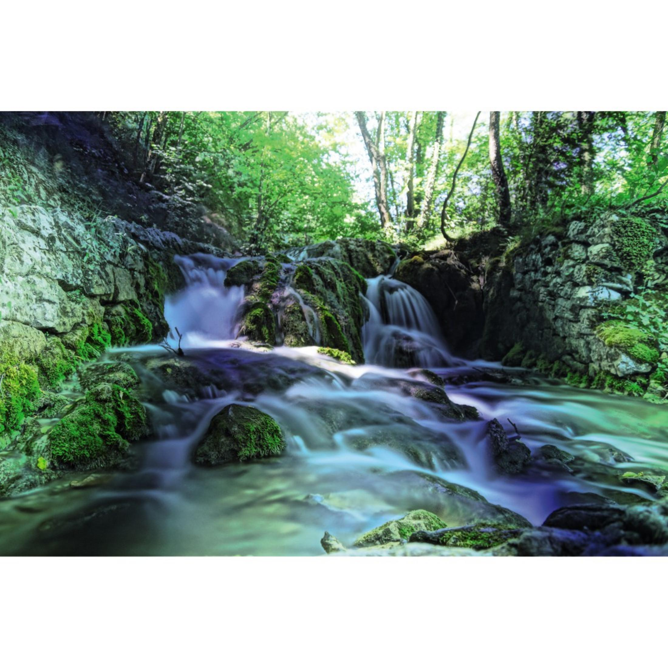 Una piccola cascata scorre su rocce muschiose in un bosco.