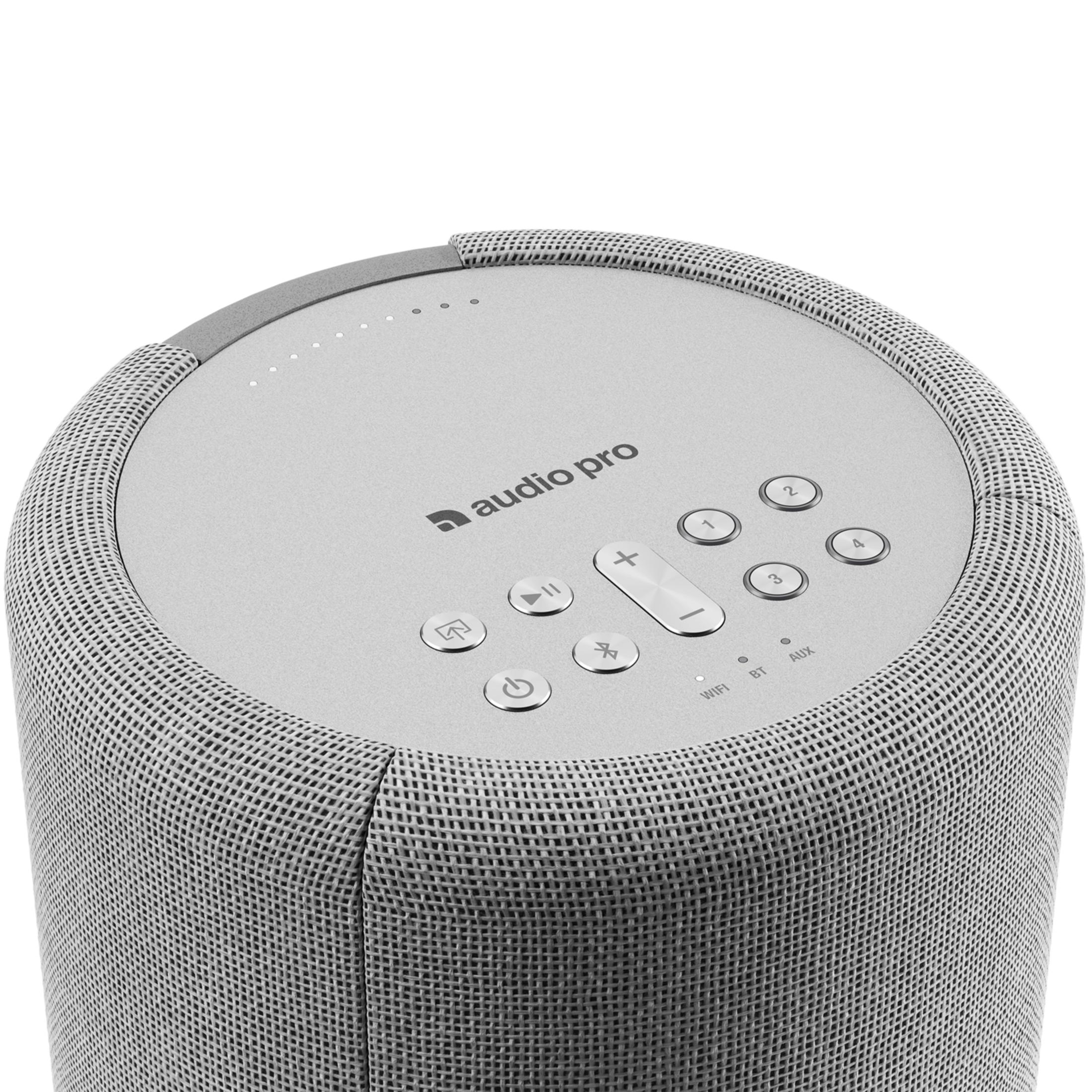 Grijze luidspreker met bedieningsknoppen en "audio pro" logo.