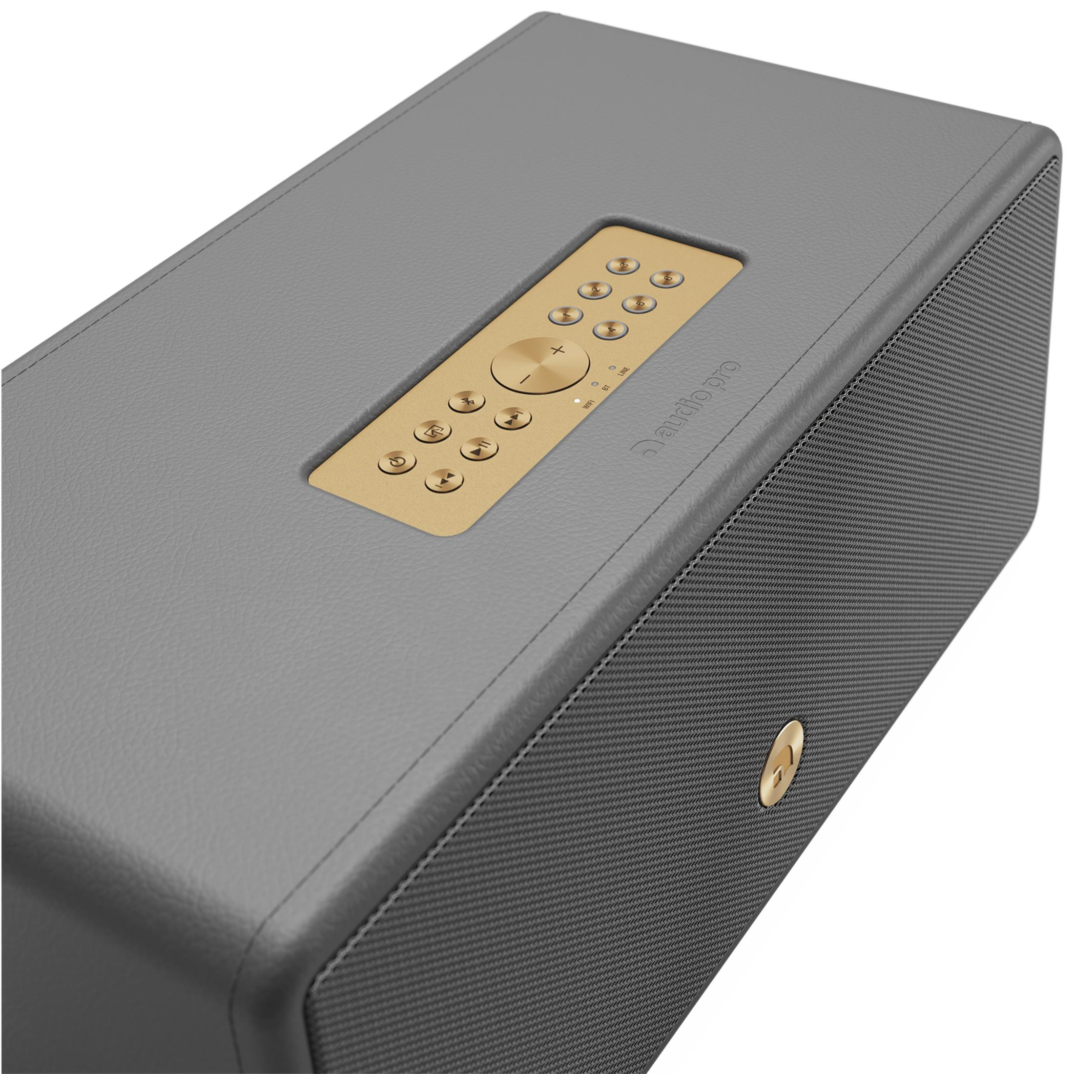 Close up of a grey speaker with gold buttons and black mesh detail.