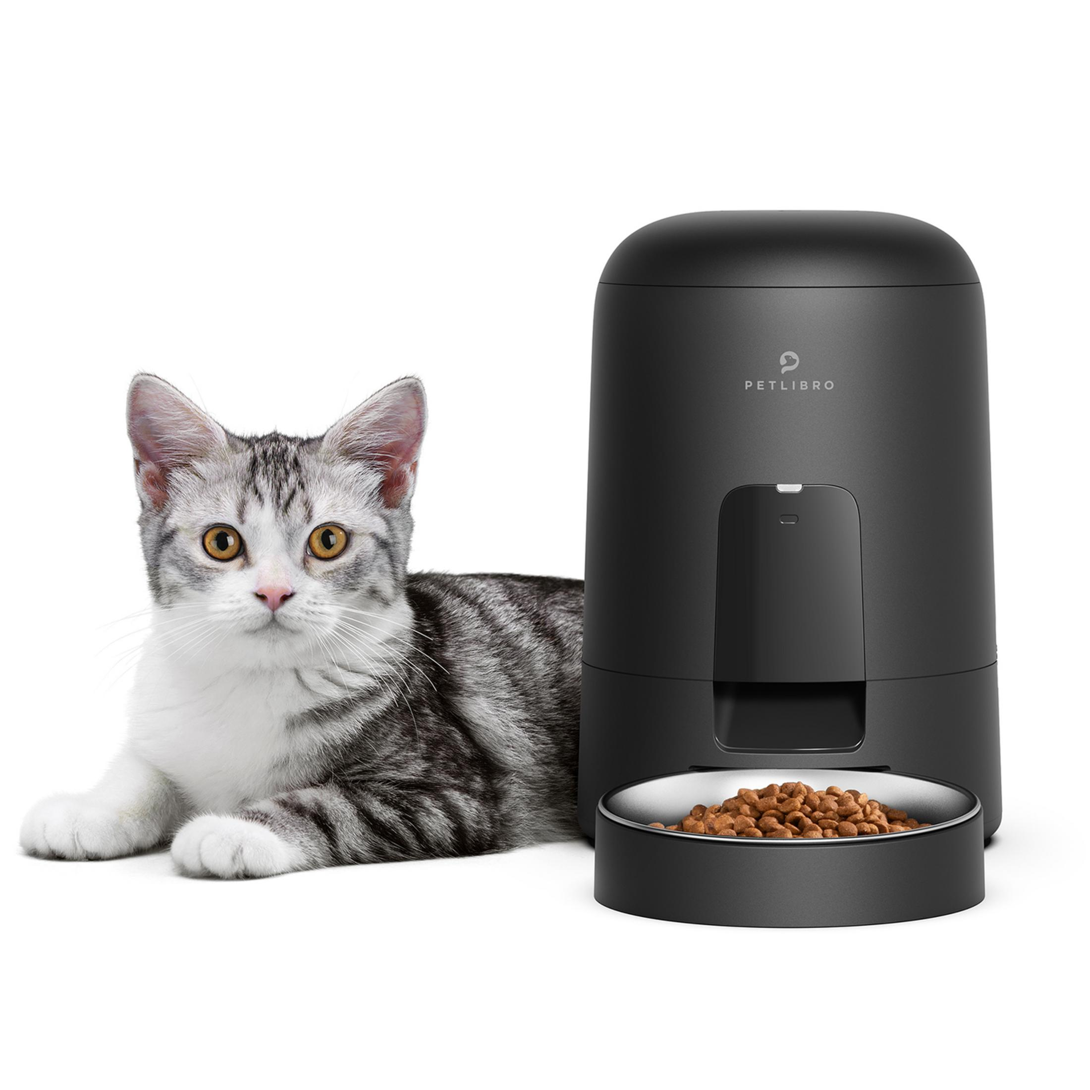 Un gato gris yace junto a un dispensador de comida negro lleno.